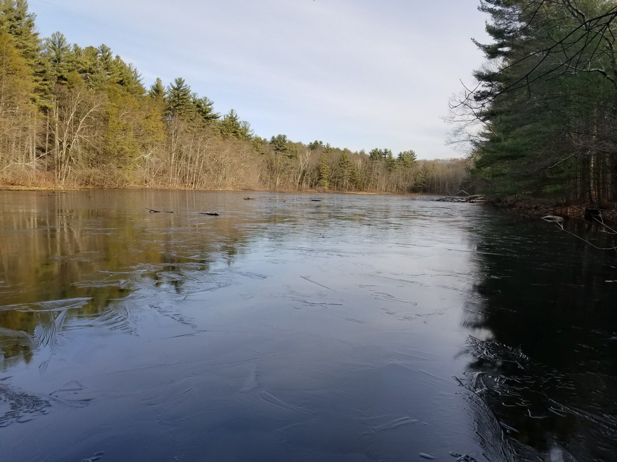 Partially frozen lake surrounded by evergreen and bare trees under a bright sky. - Birch Trail Kicker – Callahan State Park (entrance) loop from RZA Island