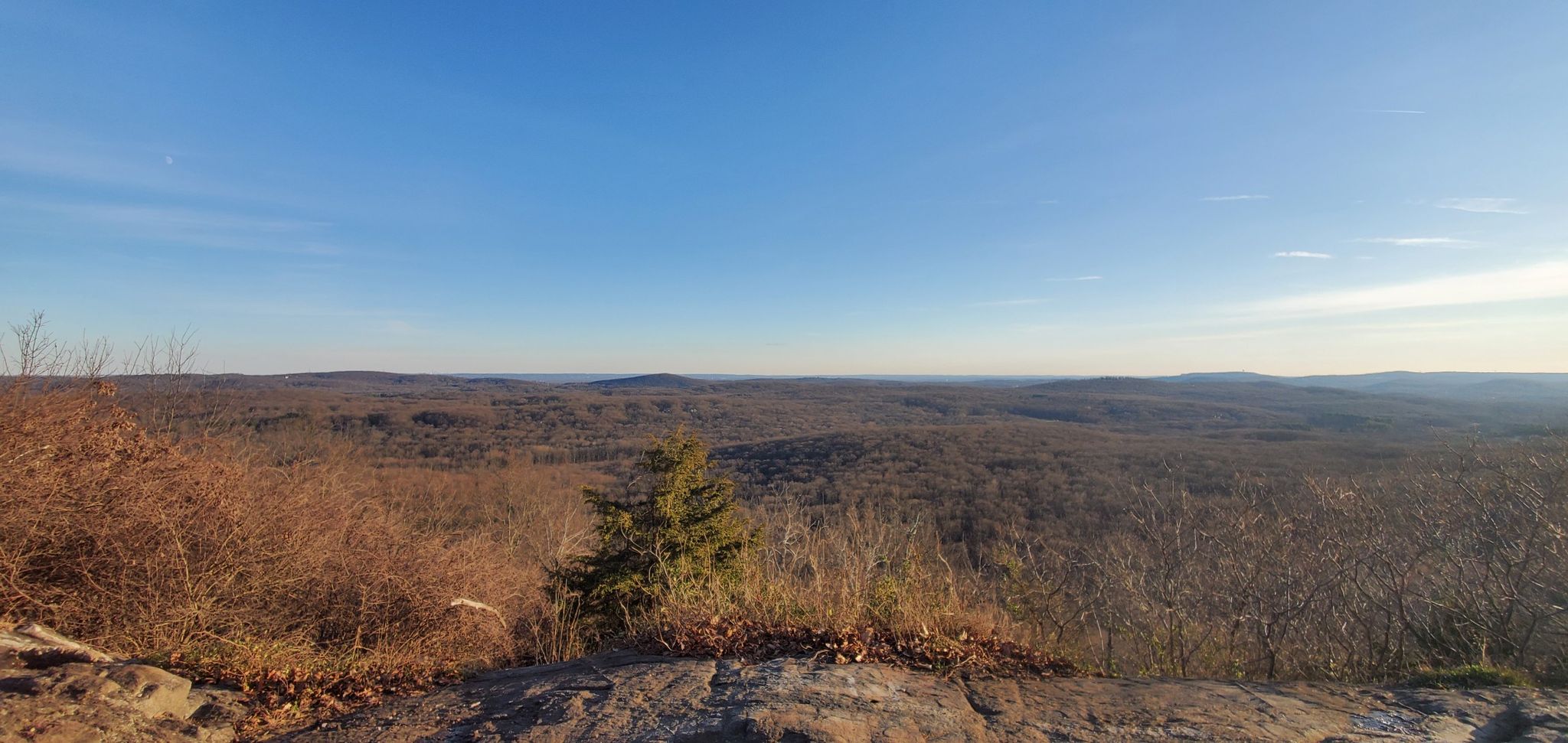 Panoramic view of a vast, bare forest landscape under a clear blue sky. - Splitrock Road to Hawk Watch via Four Birds Trail