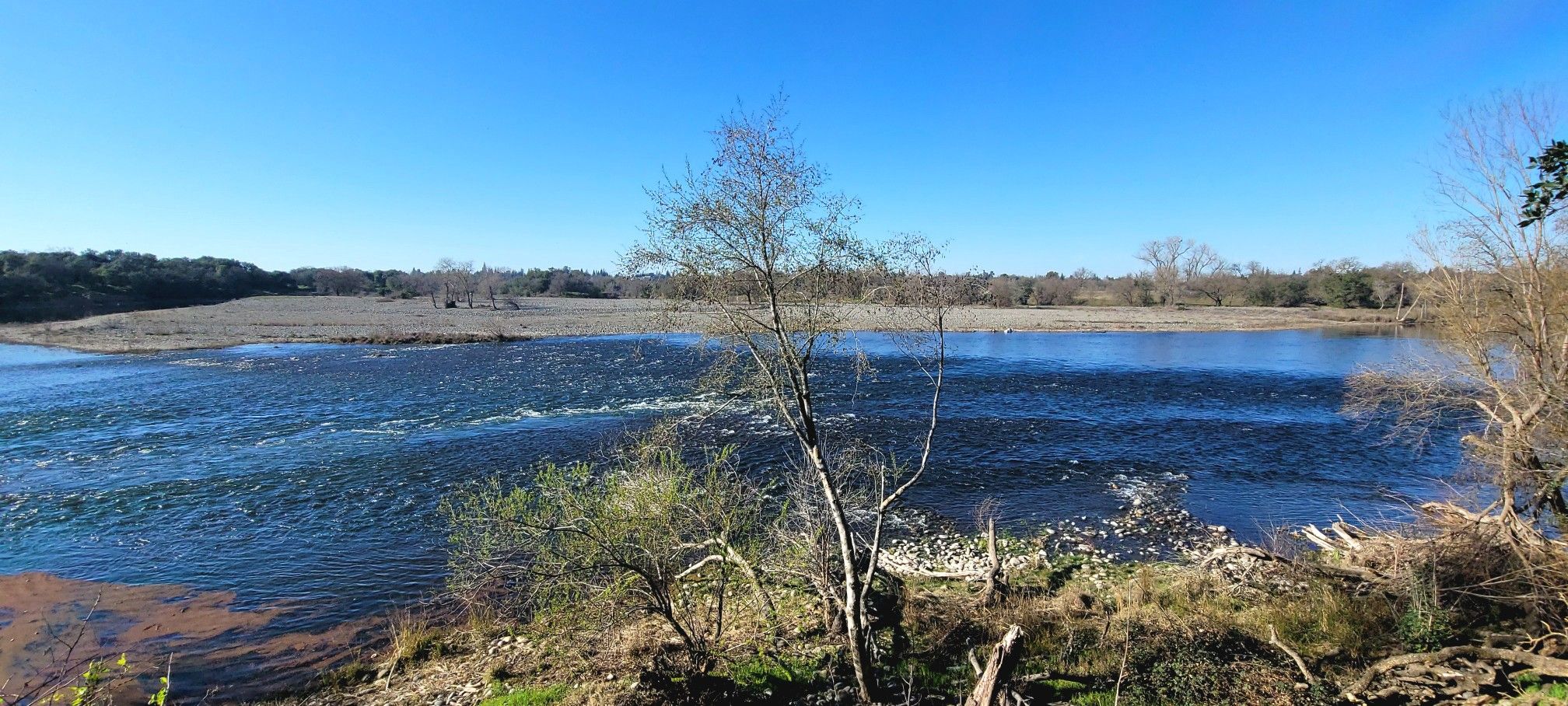 Wide river with rapids and trees on the banks under clear sky. - American River and Folsom South Canal Trail Loop