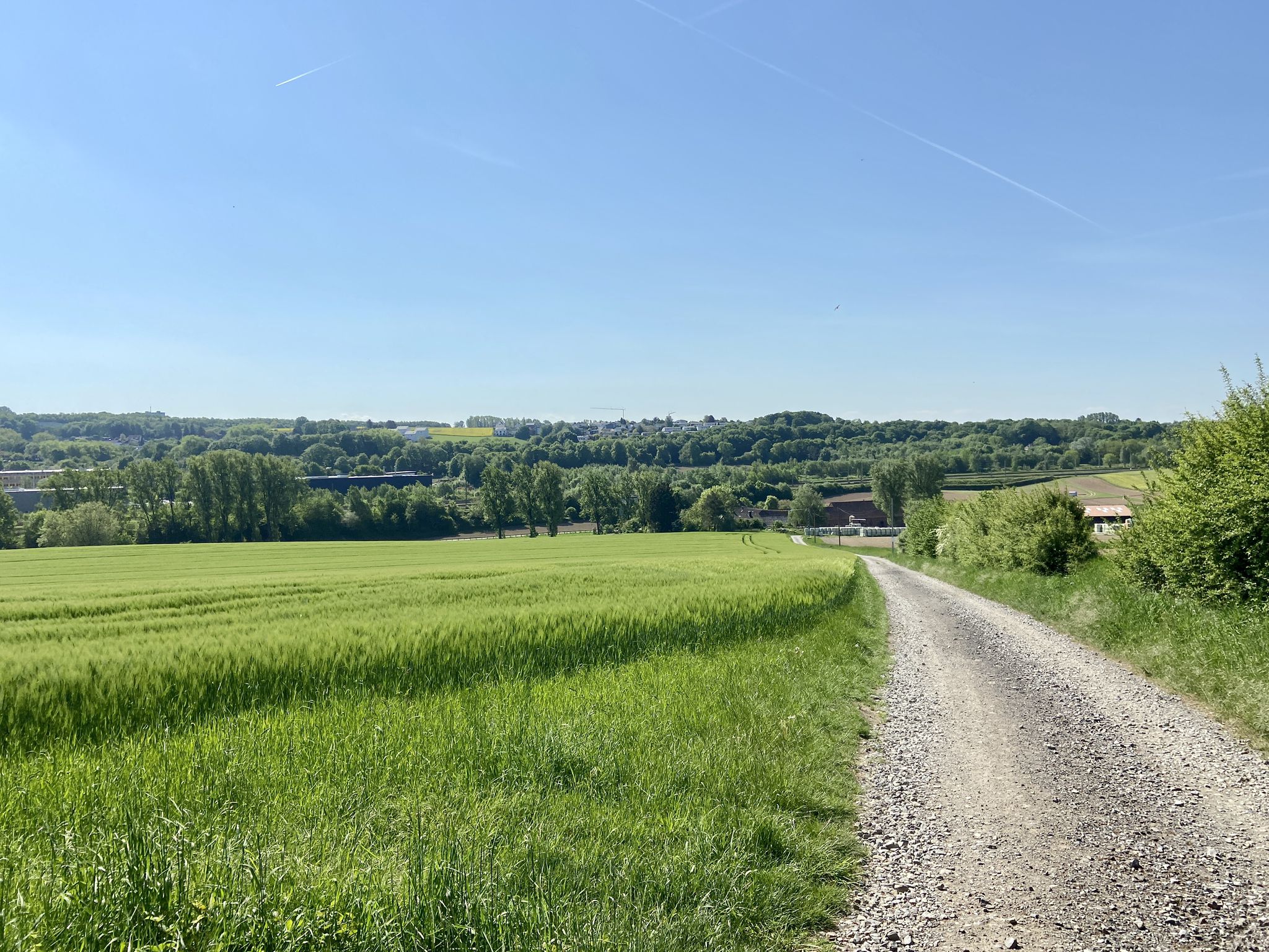 Feldweg zum Gut zur Linden