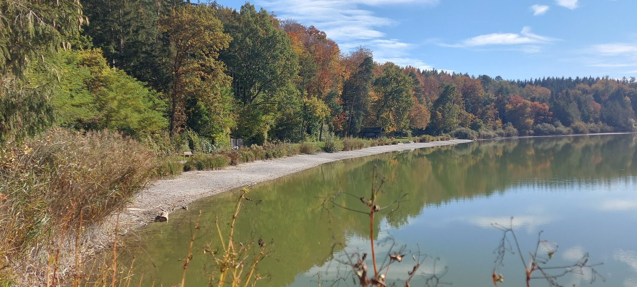 Wagenhauser Weiher
