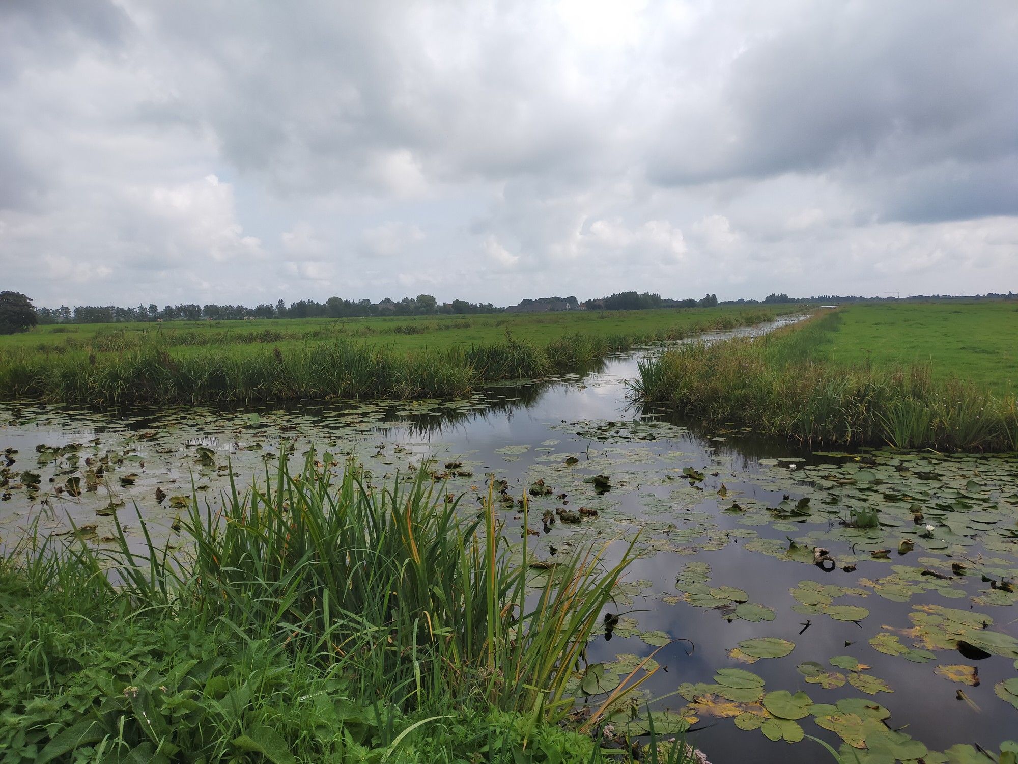 prachtig landschap