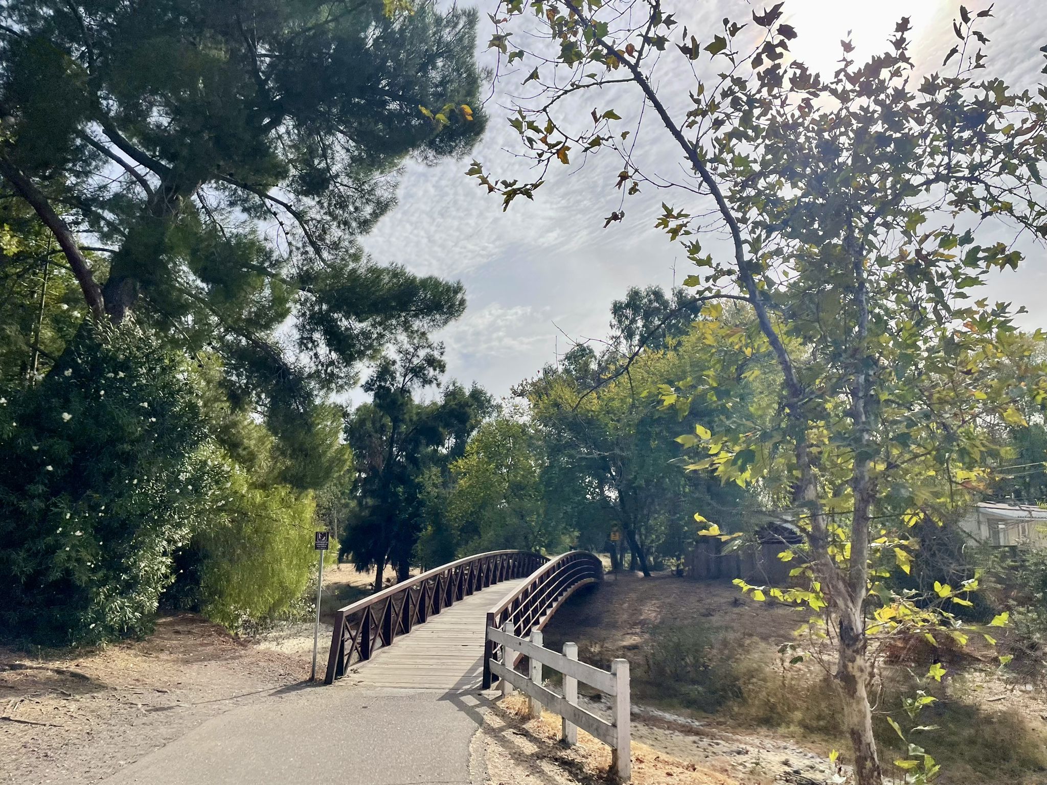 Curved wooden bridge through green trees with dappled sunlight on a bright day. - Arroyo Mocho Trail