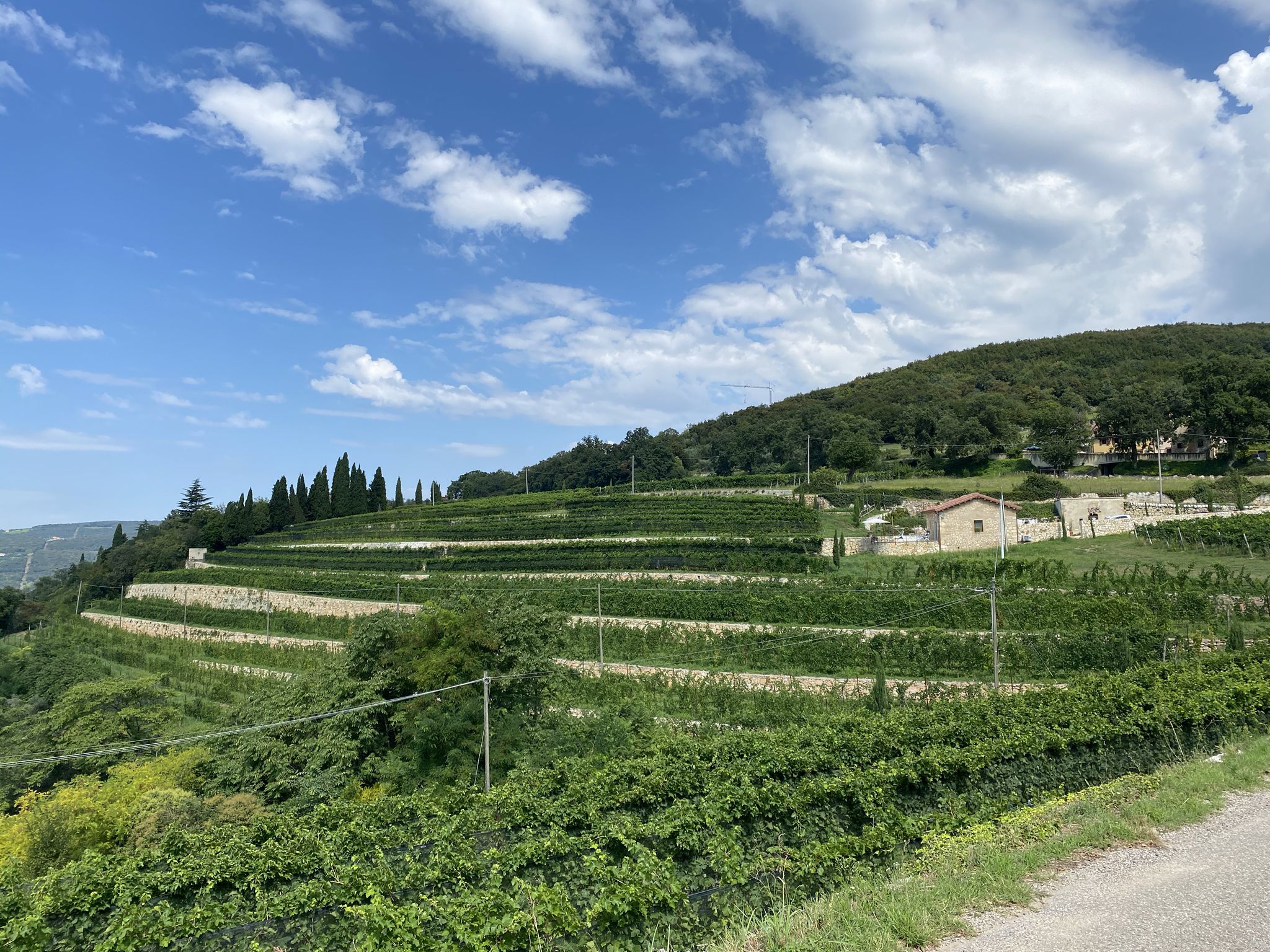 Vigneti da Contrada Maroni