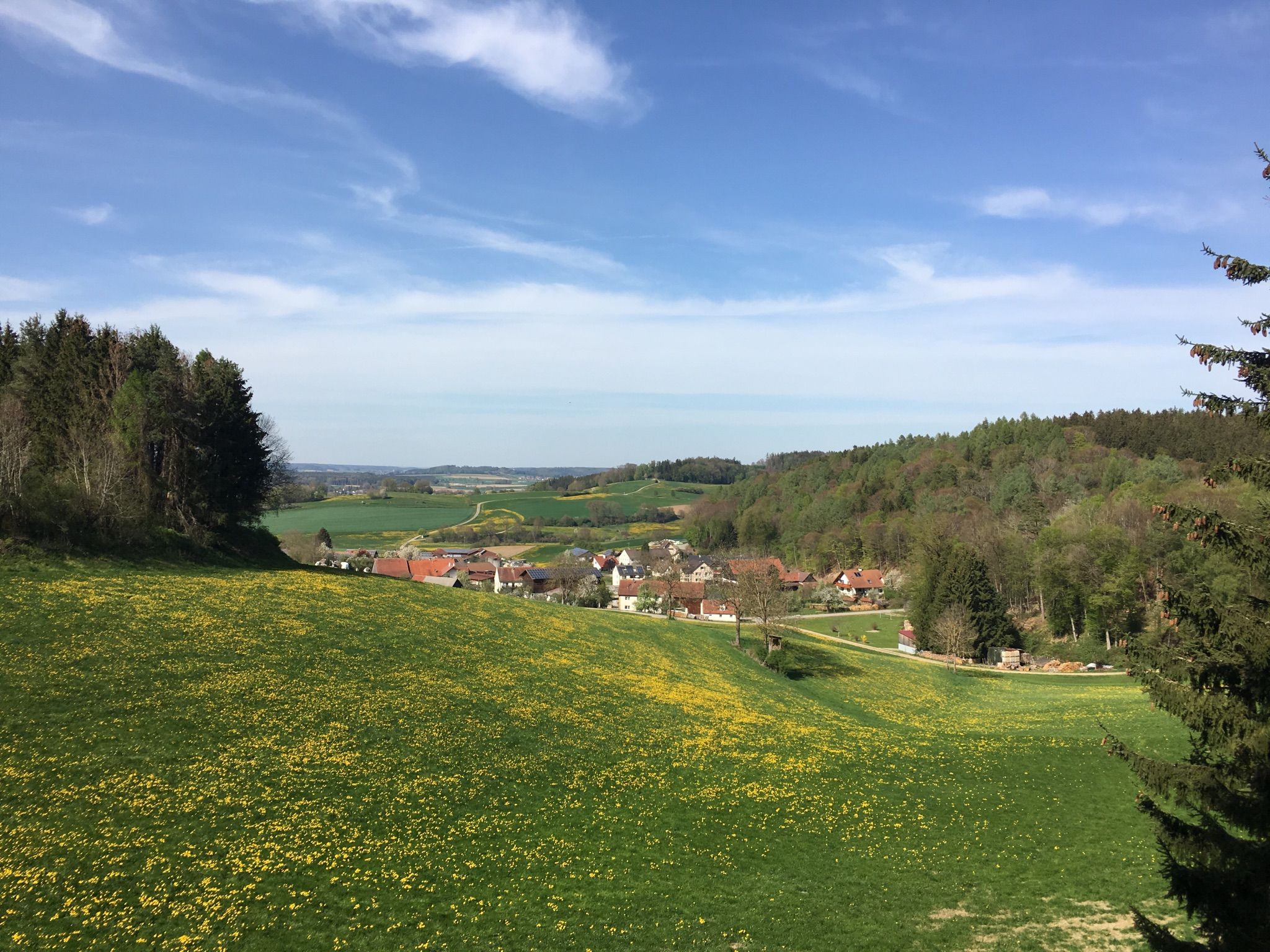 Blick auf Vorderschellenbach