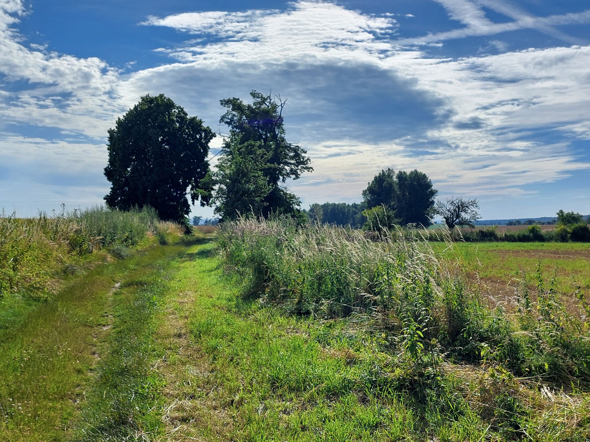 durch freie Natur