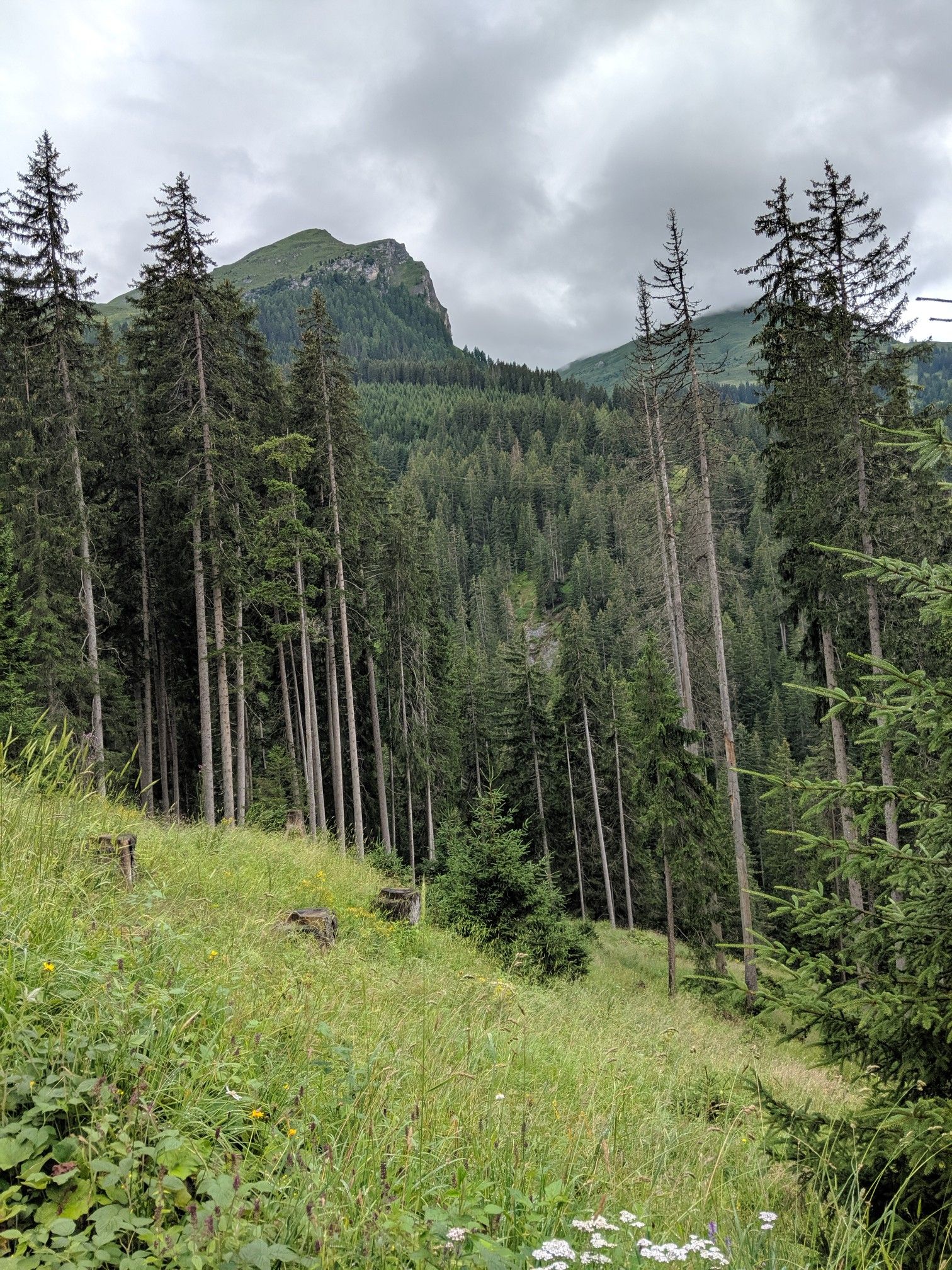 Alpstein