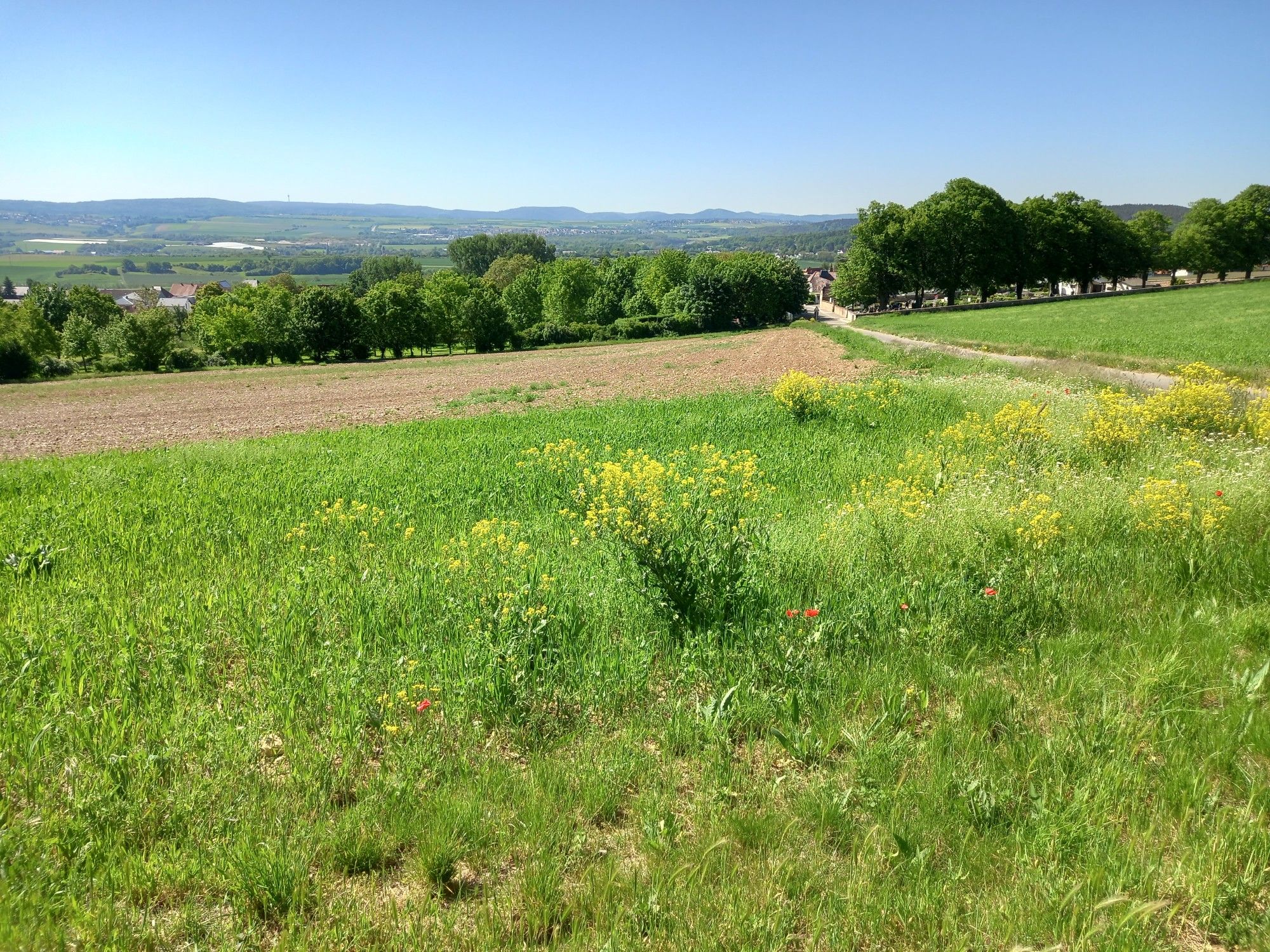 Blick übers Eckbachtal