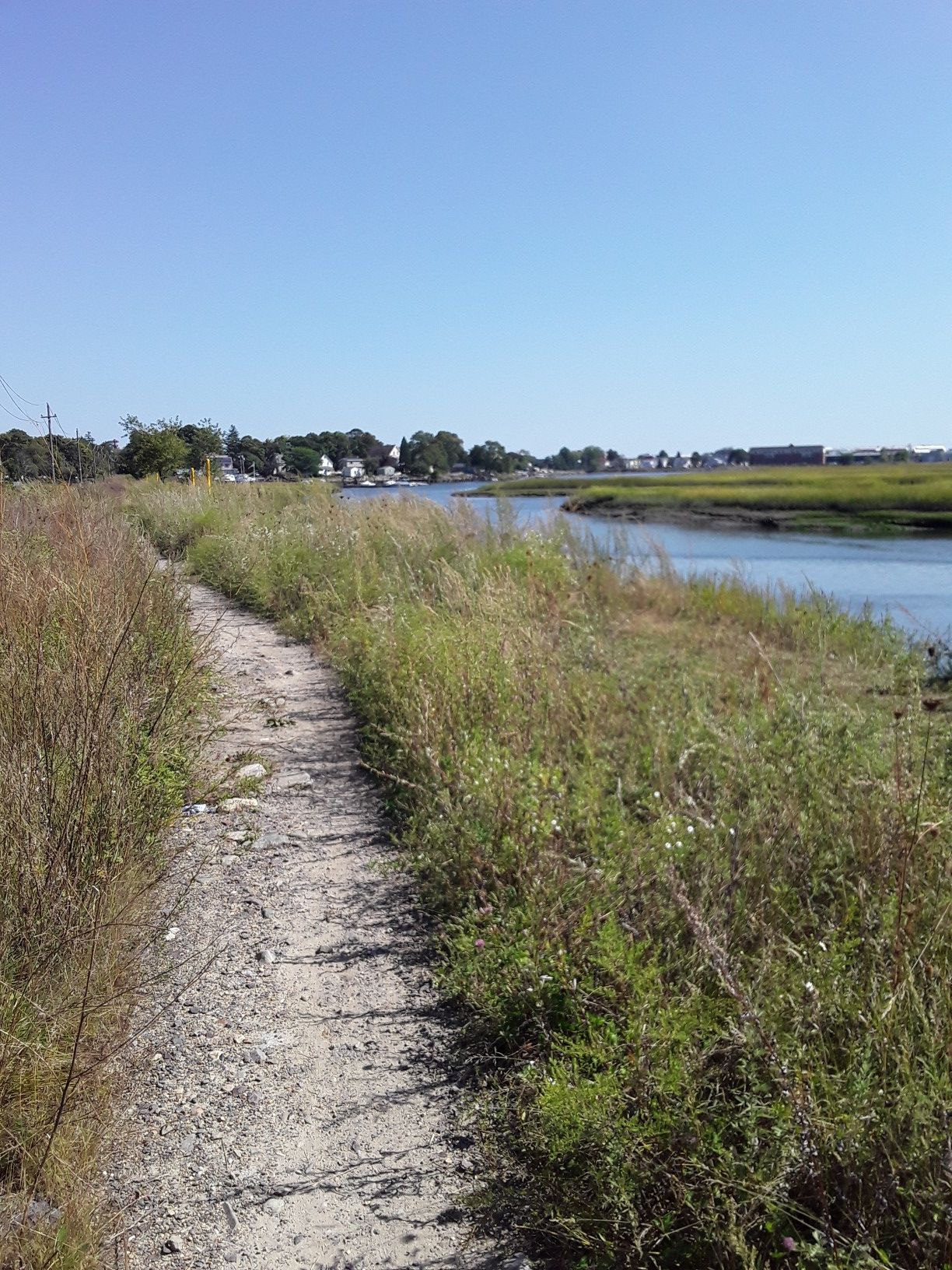 Dirt path next to a river with tall grass and distant houses. - Saugus River Reservation – Rumney Marsh Reservation loop from Saugus