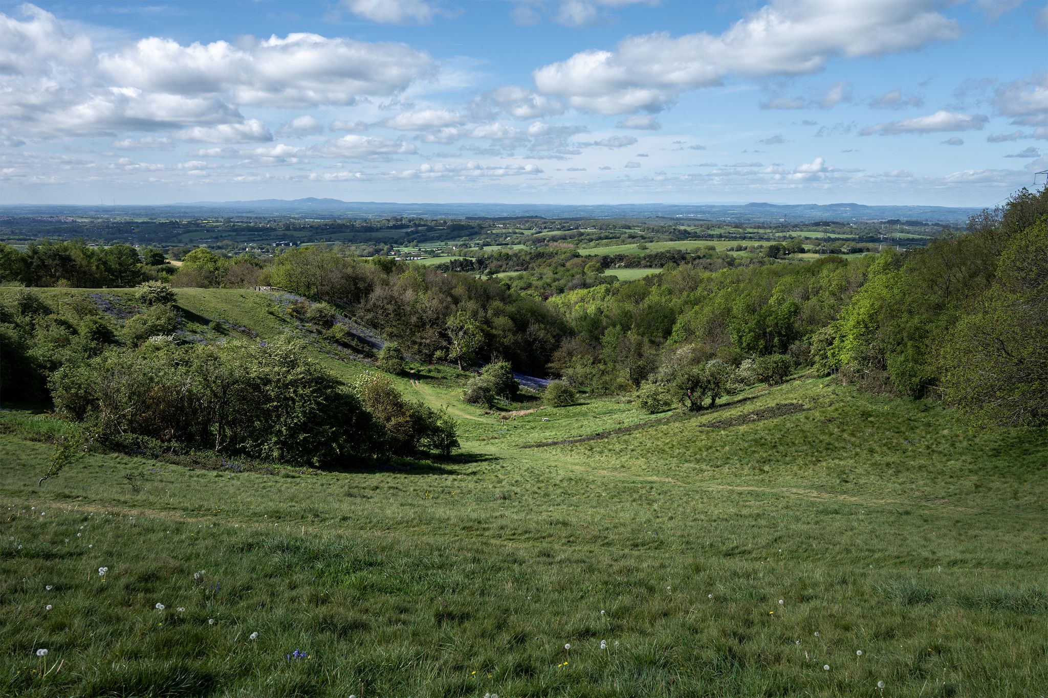 Waseley Hills Country Park