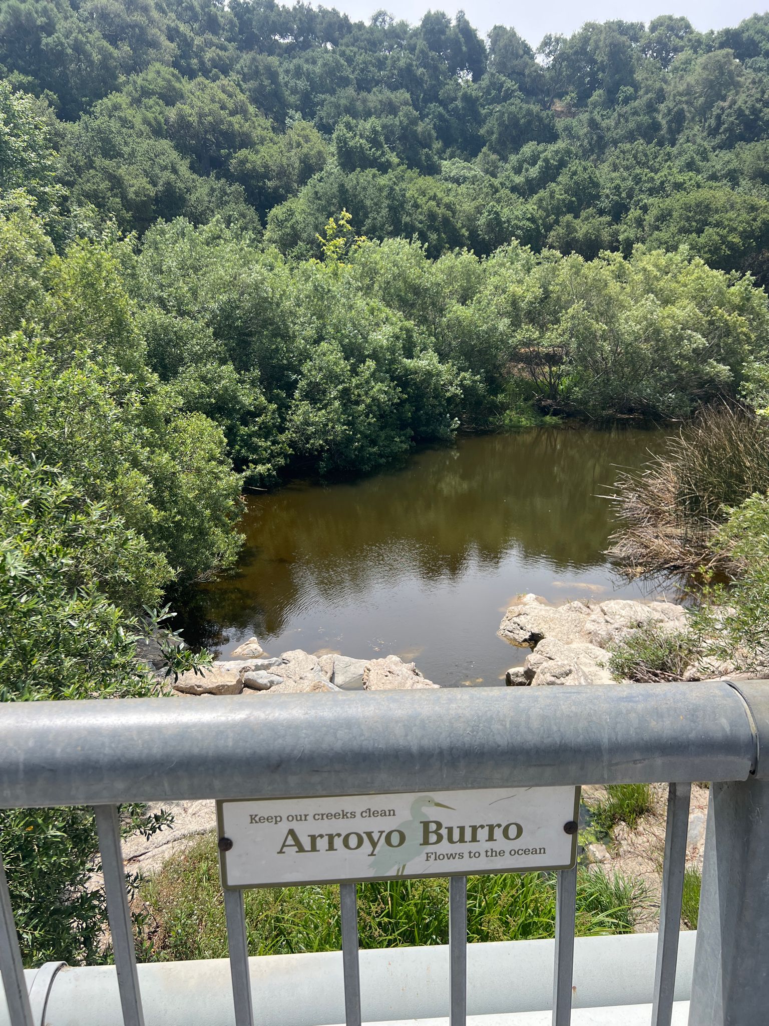 A lush green forest surrounds a calm body of water, viewed from a bridge. - Arroyo Burro Beach Overlook