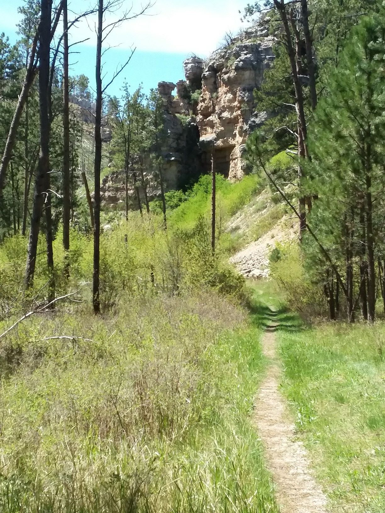 A grassy path leads towards a rocky cliff face and pine trees. - Hell Canyon Trail