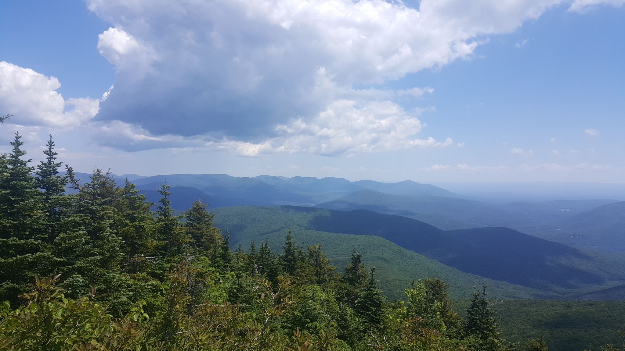 Distant green mountains under a bright, partly cloudy sky with evergreen trees. - Wittenberg - Cornell - Slide Trail