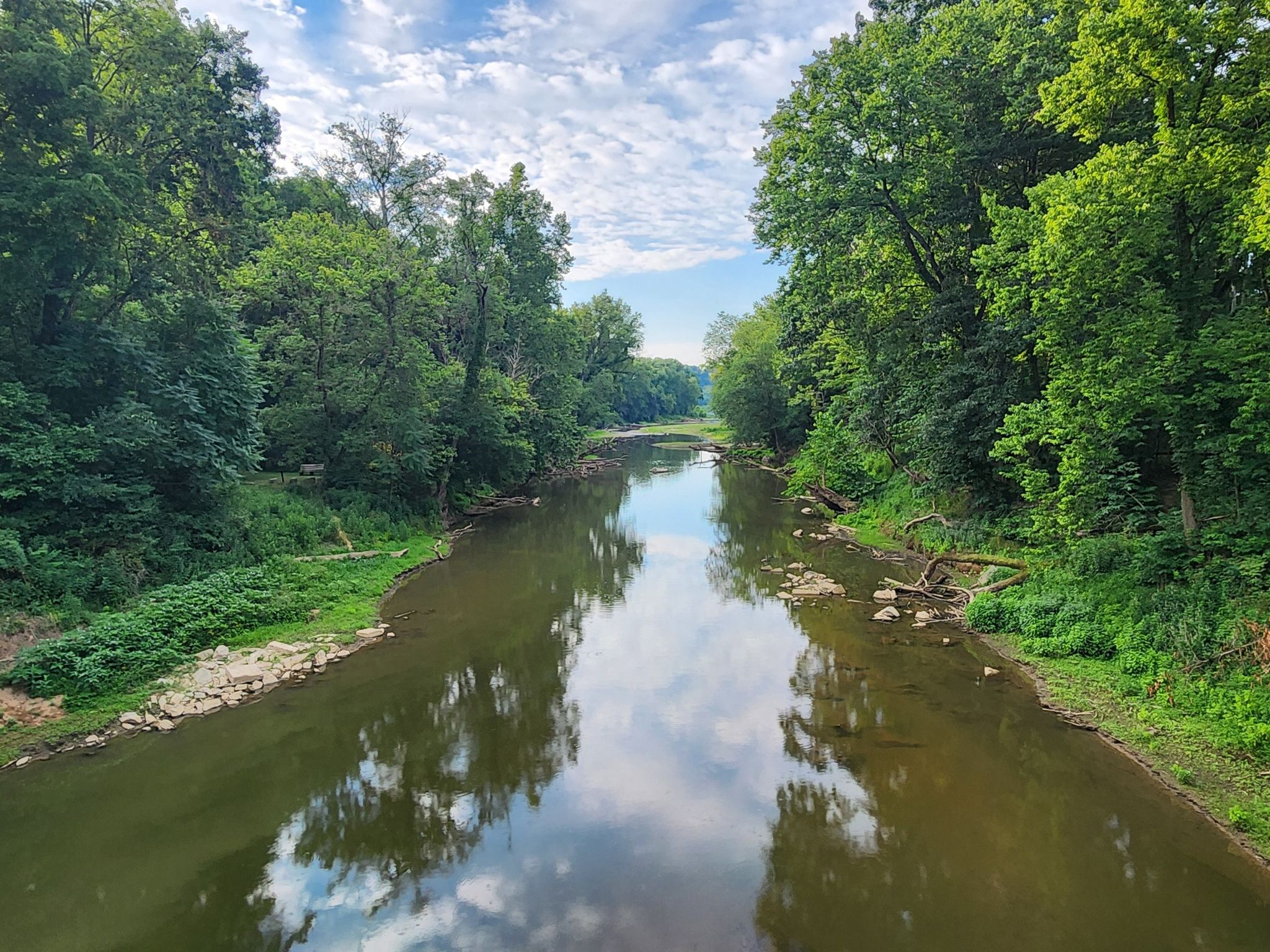 A calm river flows through a dense green forest under a cloudy sky. - Catoctin Creek Aqueduct – Bald Eagle campsite loop from Lockhouse 29