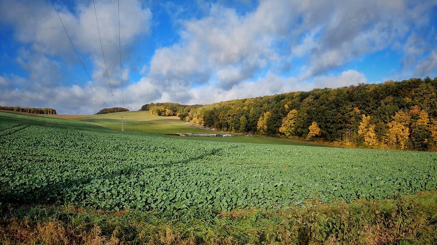 Blick über Felder