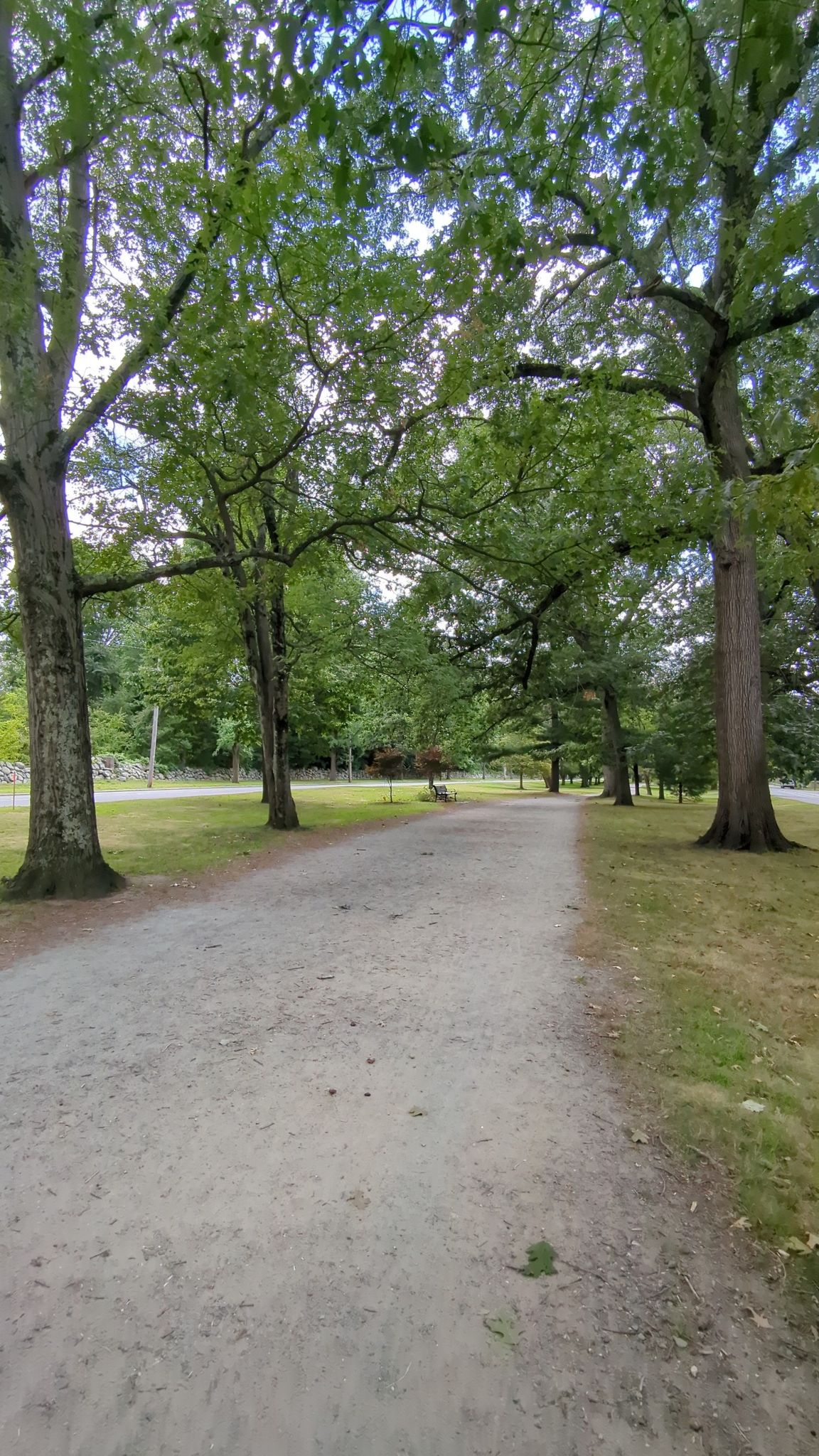 A shaded dirt path winds through a park with tall trees and bright light. - Blackstone and Seekonk River Loop