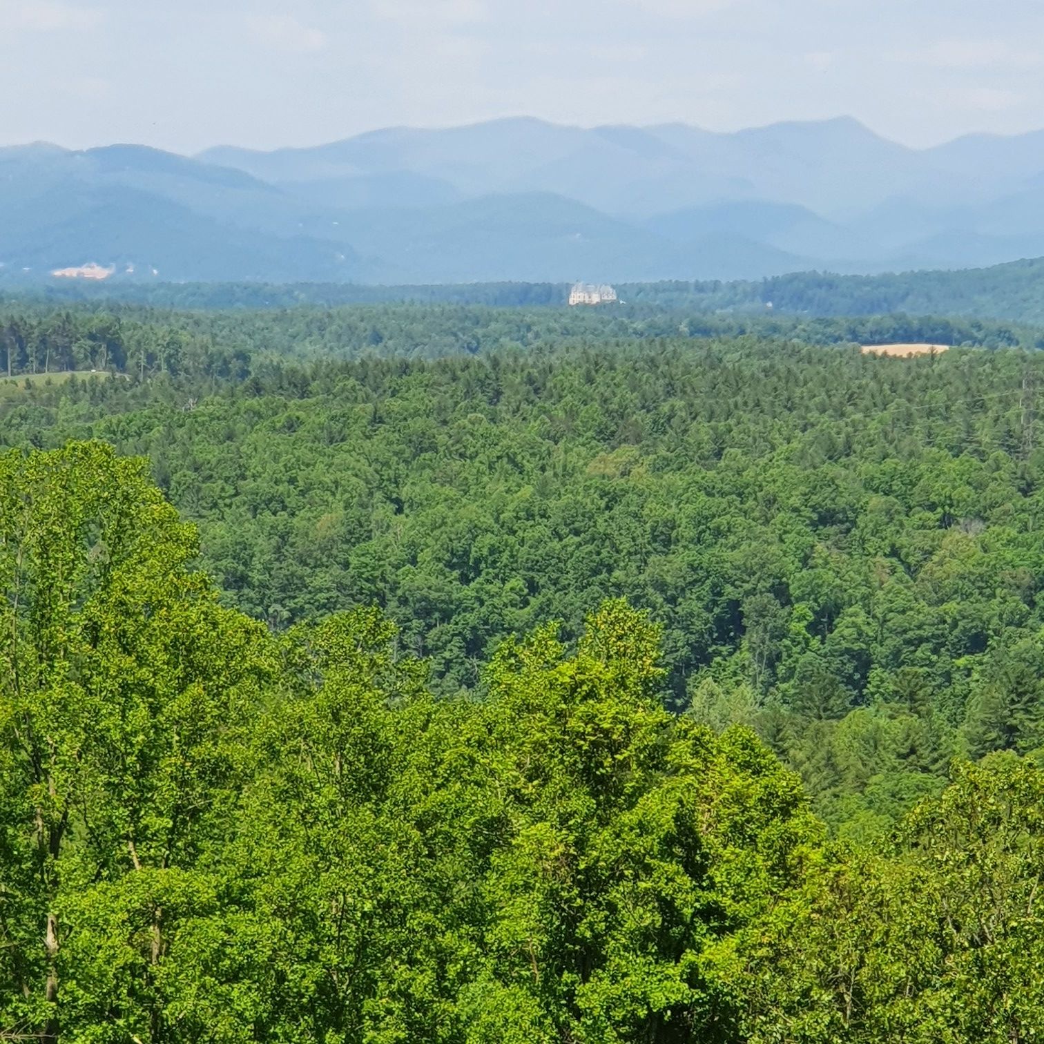 Vast green treetops stretch towards hazy blue mountains under a clear sky. - Pisgah Highway & Blue Ridge Parkway loop