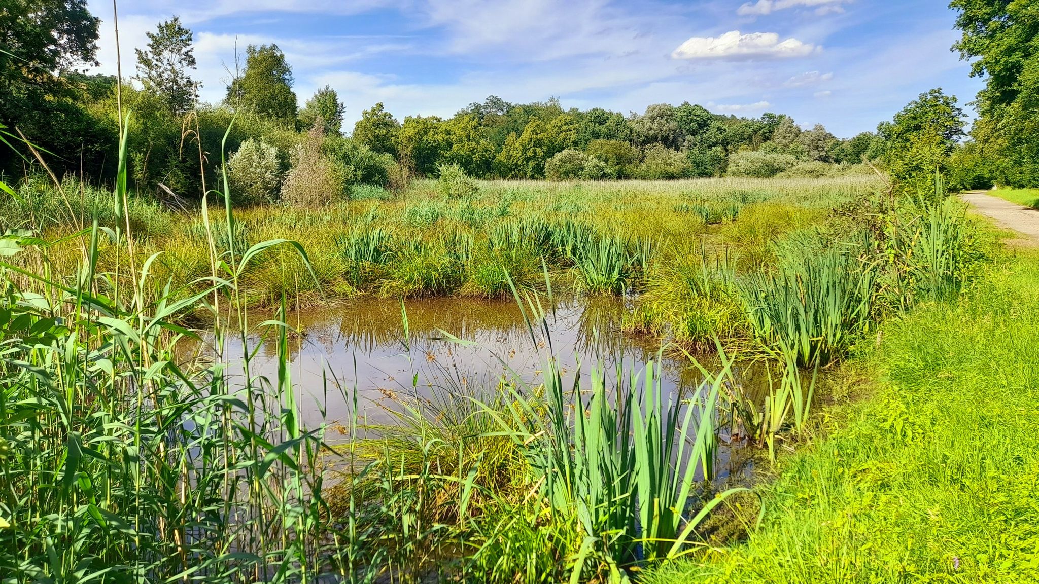 Biotop an der Mottbruchhalde