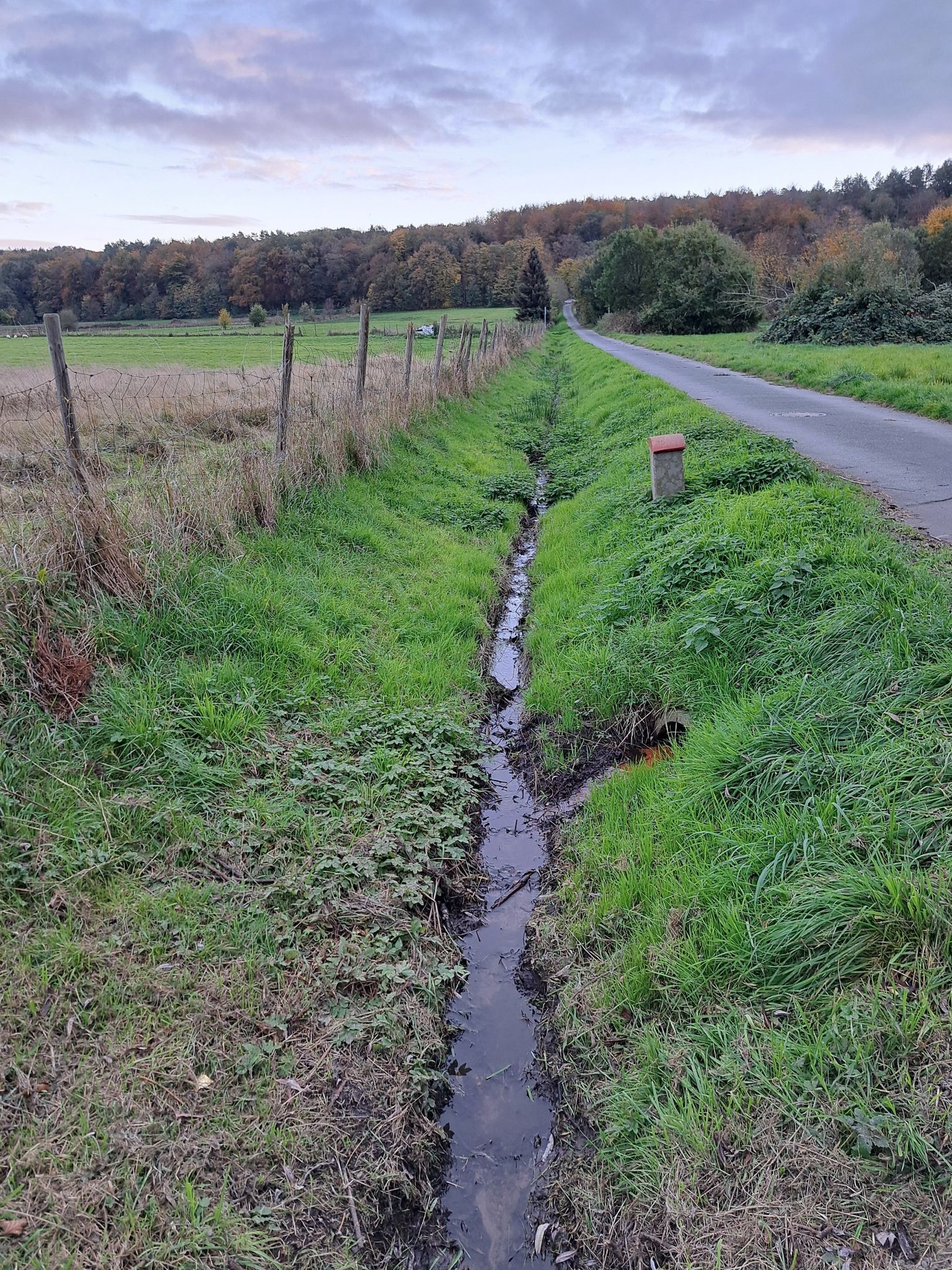 Weidenbach ( Namensgeber der nun folgenden Strasse)