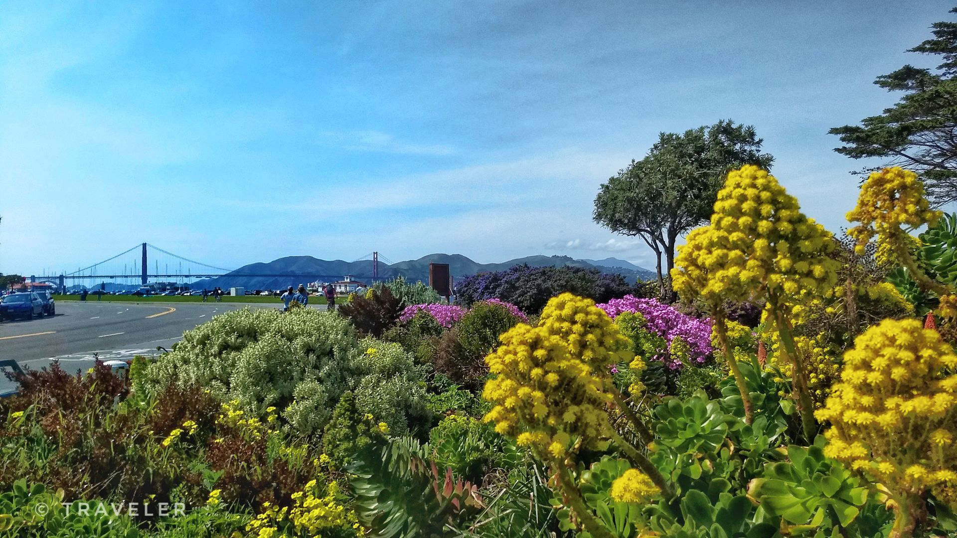 Bright sunny day with colorful flowers, a road, and a distant bridge. - Marina Green