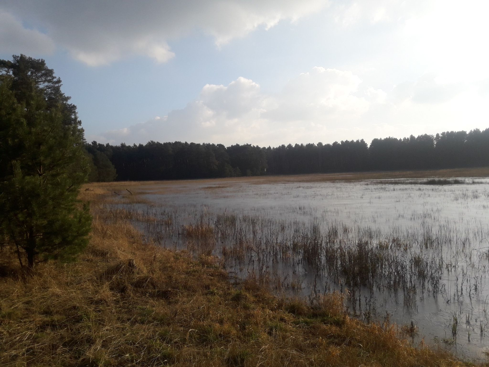 Das Miethsluch
