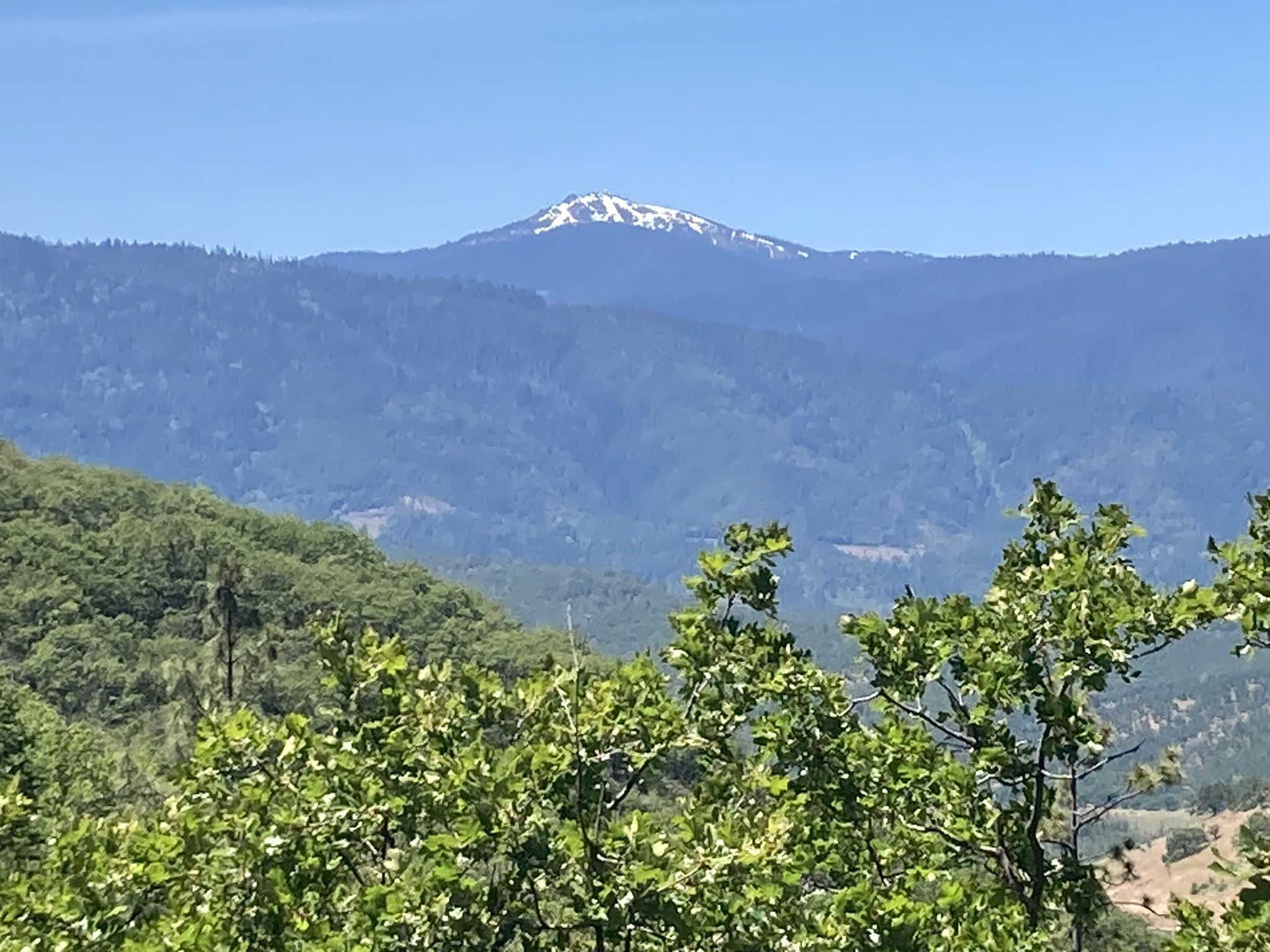 Distant snow-capped mountain peak overlooks green forested hills on a sunny day. - Cascade-Siskiyou Scenic Bikeway