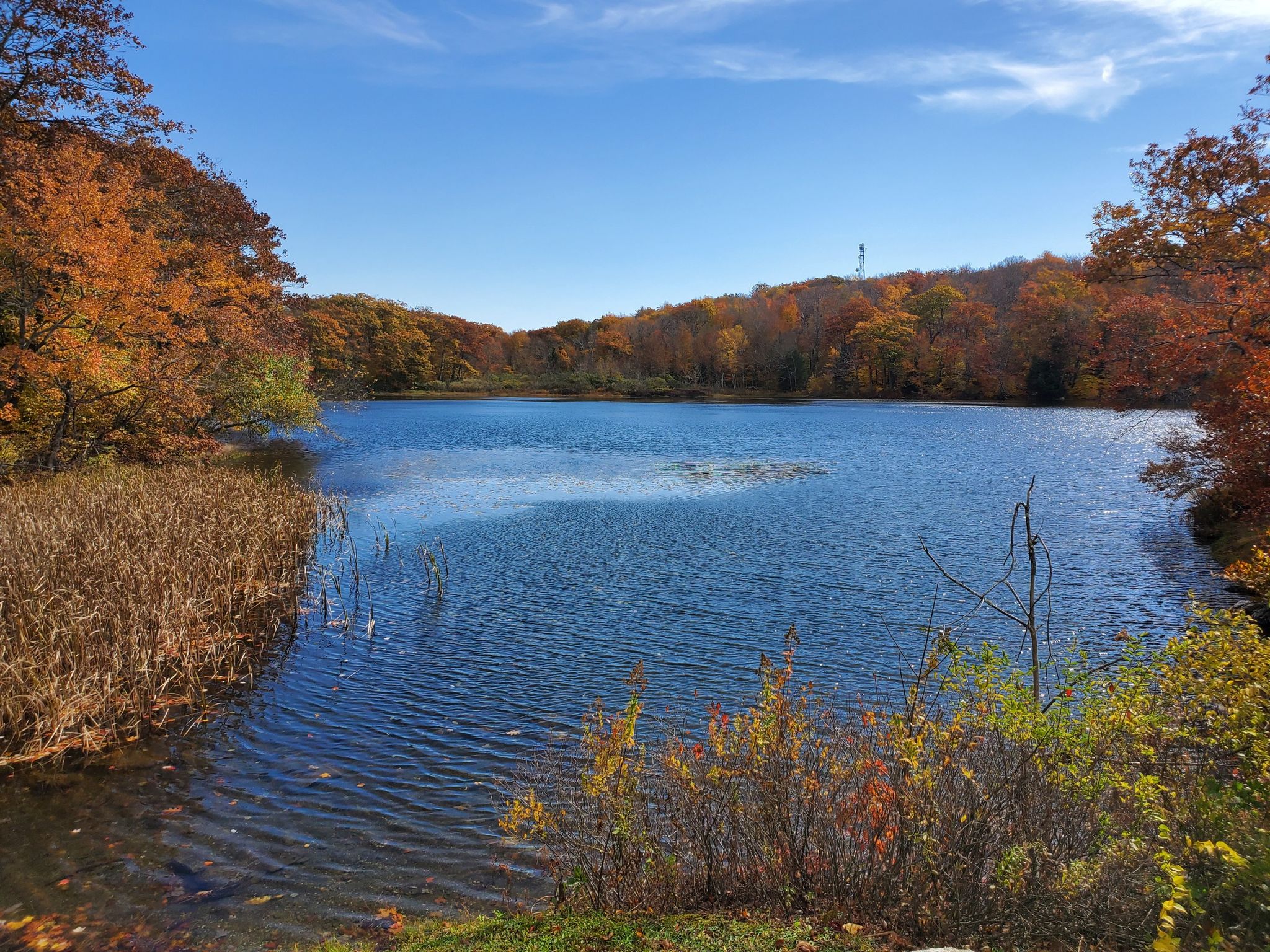 A vibrant blue lake surrounded by autumn trees under a clear sky. - Lulu Brook and Honwee Loop Trail