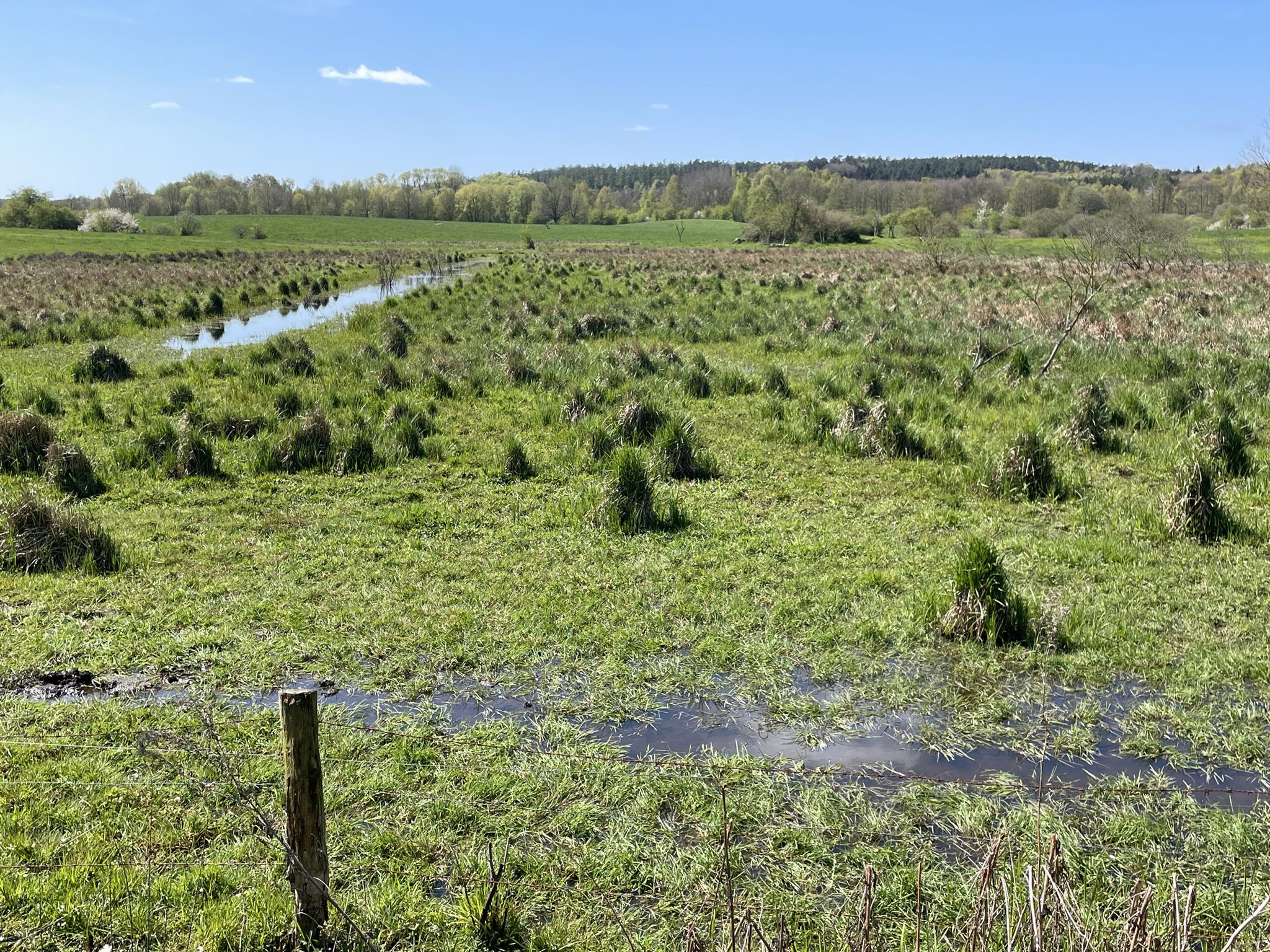Moorlandschaft