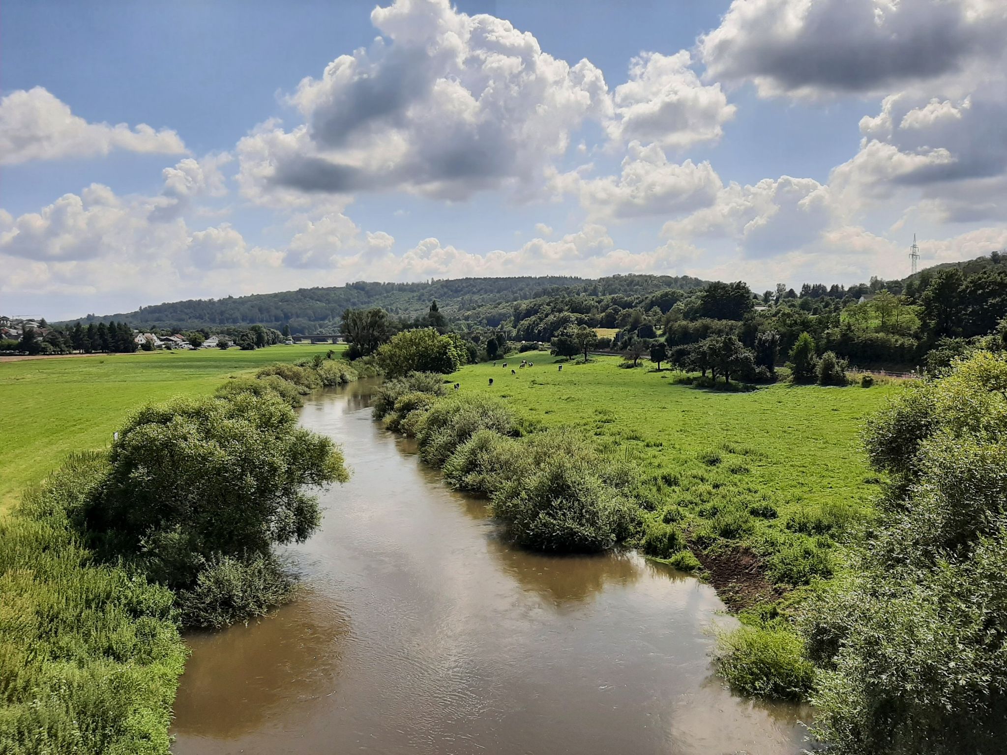Die Lahn und Kühe:-)