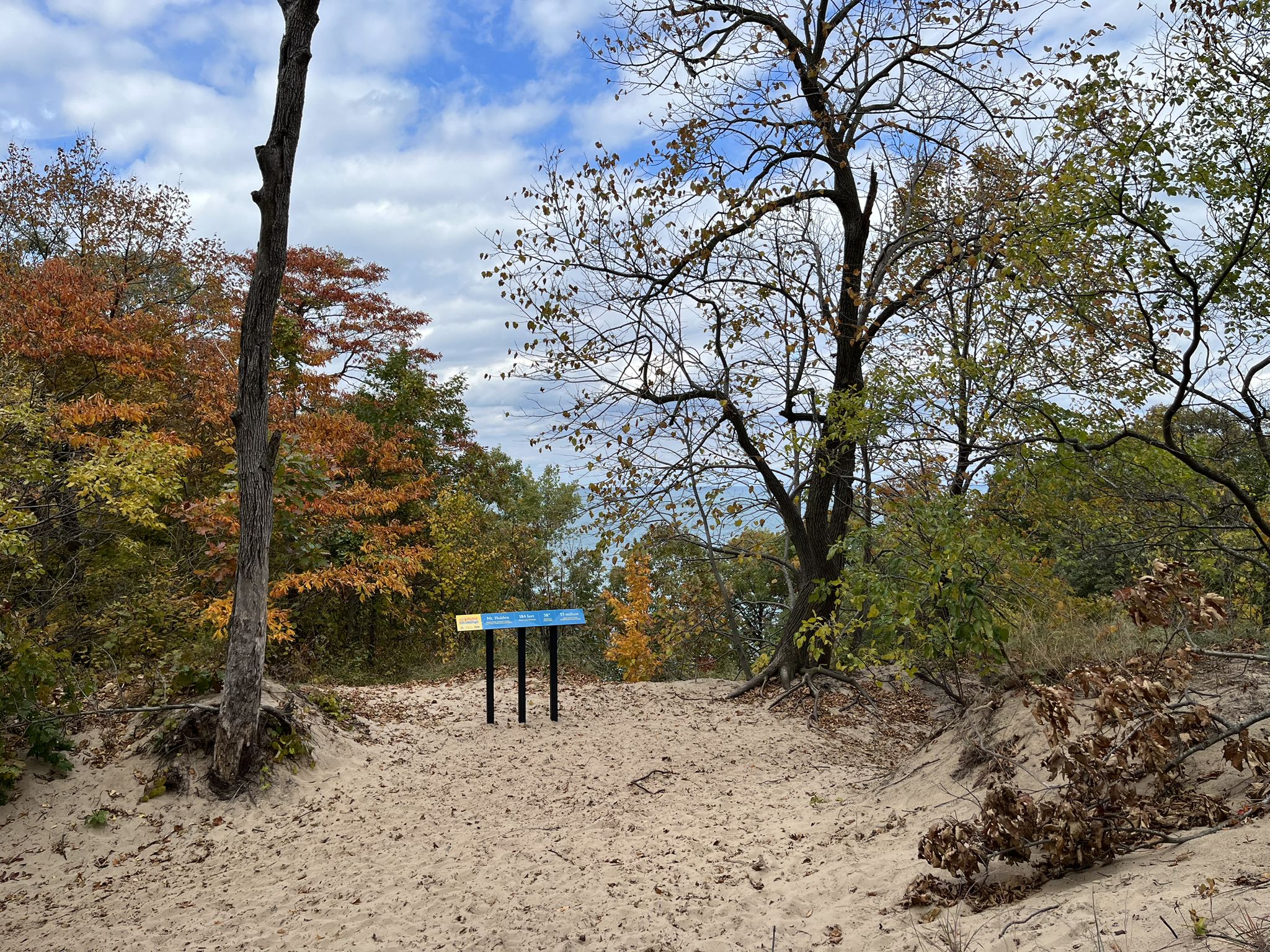 Sandy path with a blue sign, surrounded by autumn trees under a cloudy sky. - Mount Tom Viewpoint – Mount Holden loop from Dune Park