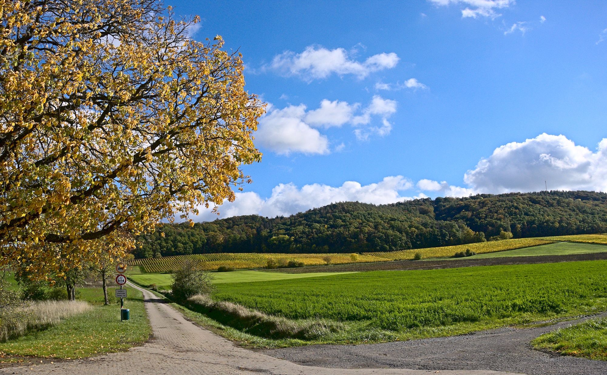 Blick voraus zum Friedrichsberg