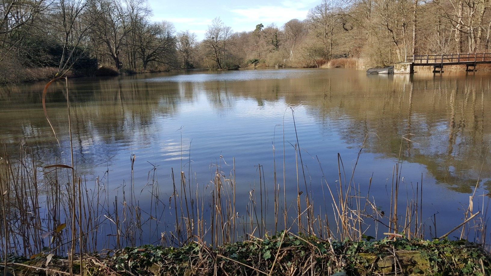 Lake