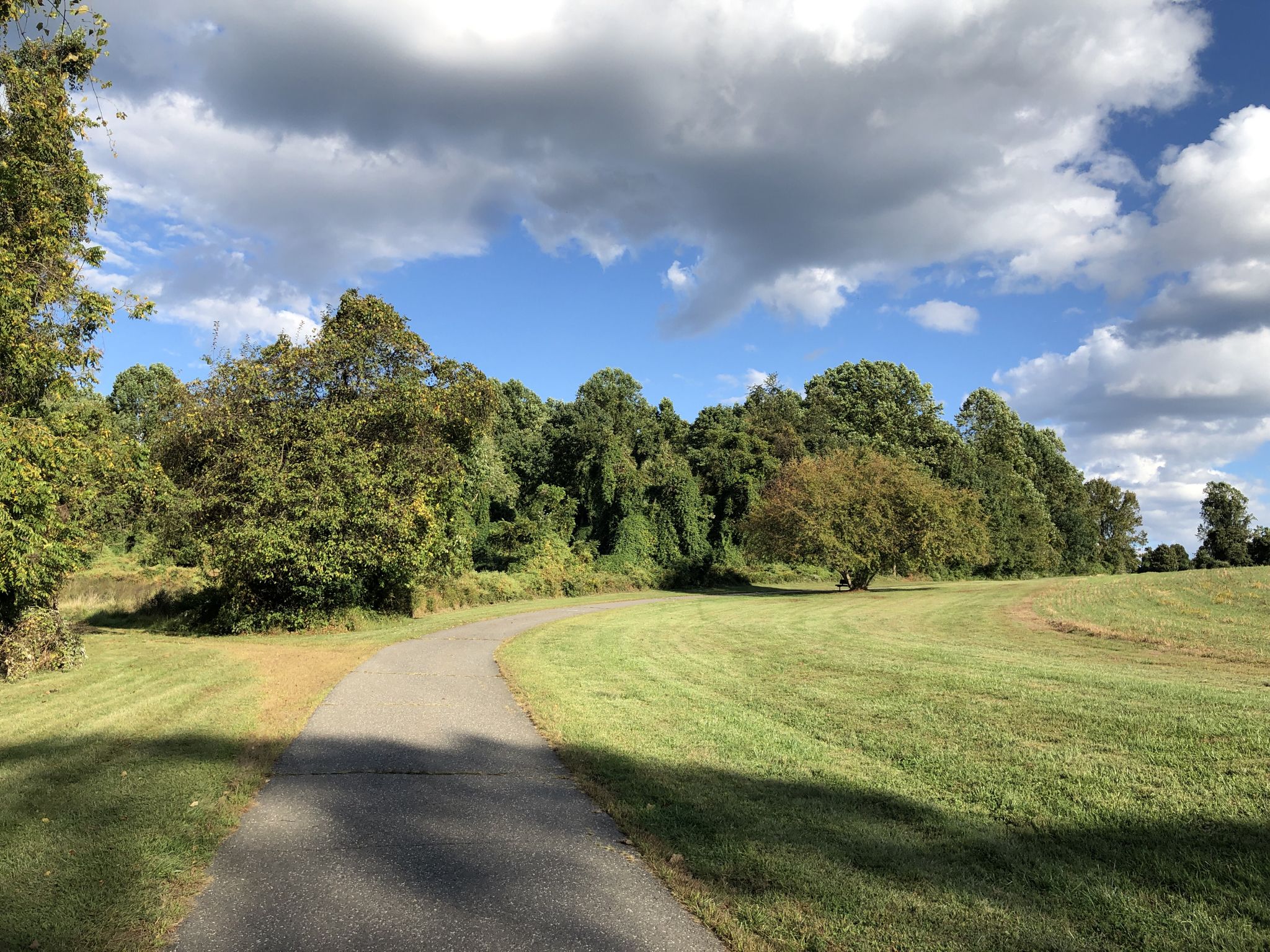 Paved path curving through green grass and trees under a cloudy sky. - Ridley Creek State Park White and Yellow Trail Loop