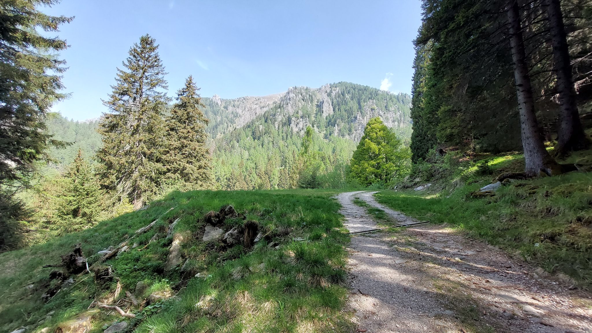 dalla strada forestale Spiado Fierollo