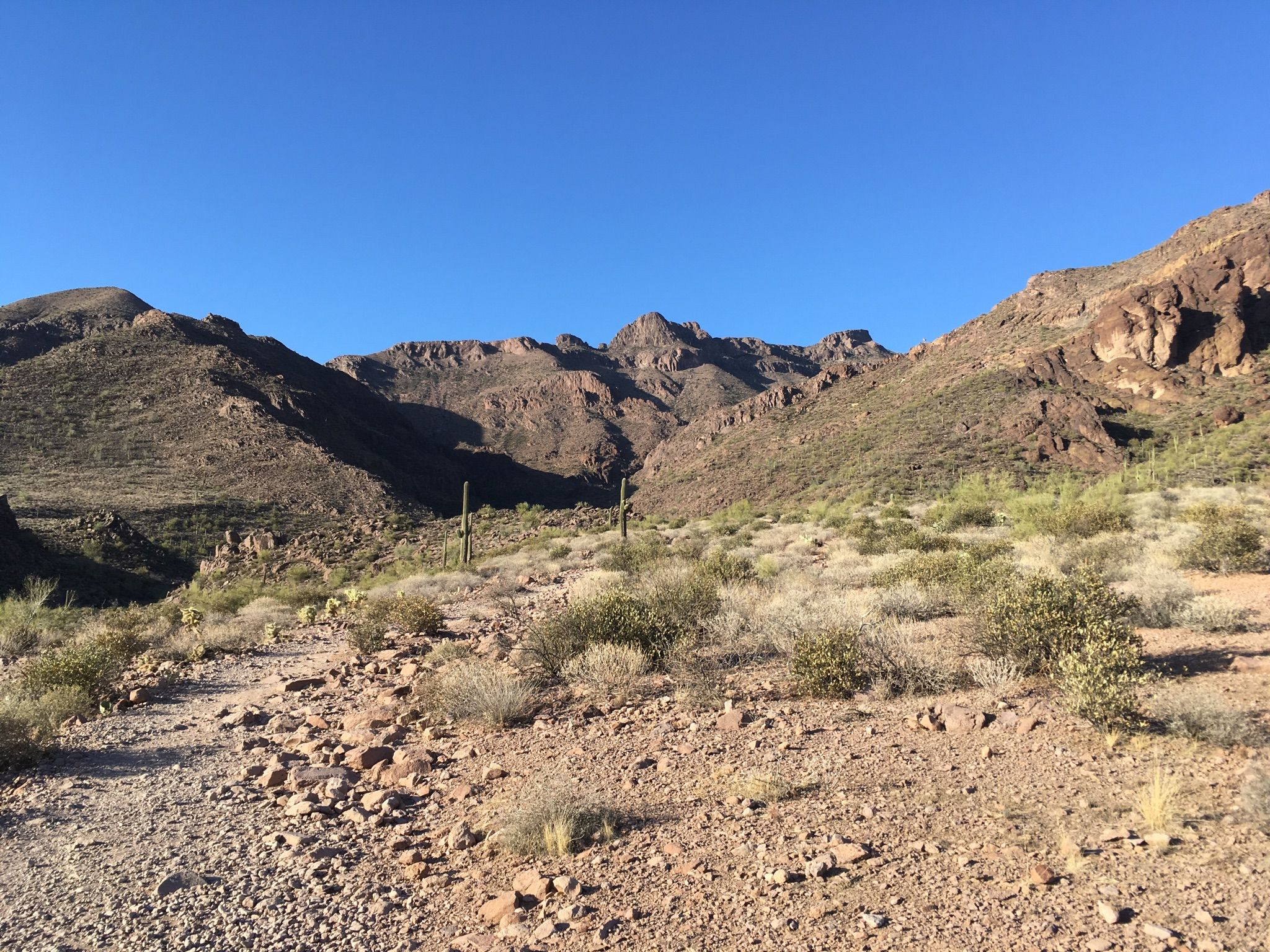 Desert landscape with rocky mountains, sparse vegetation, and saguaro cacti under a clear sky. - Hieroglyphic Trail #101