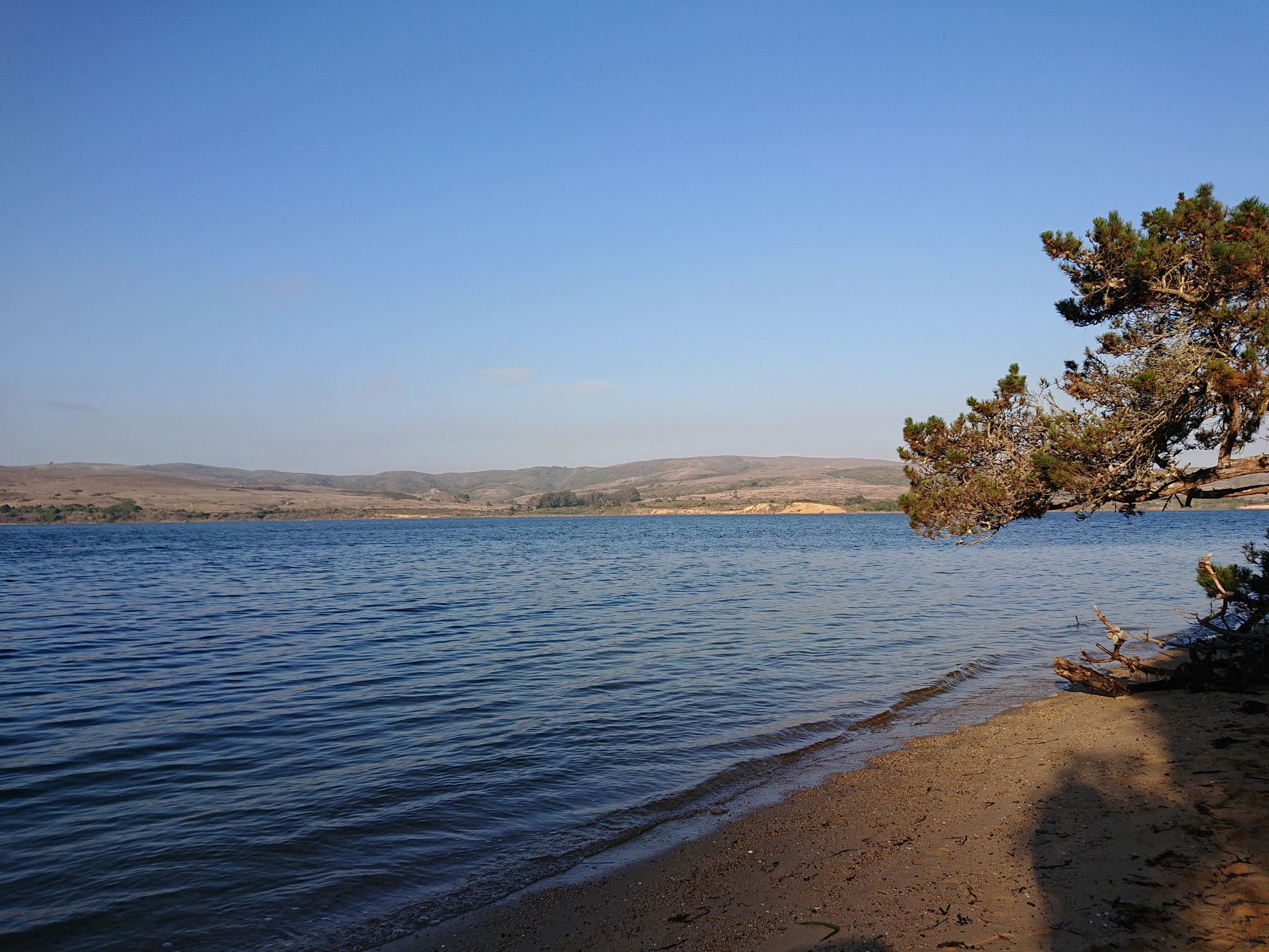 Calm blue water with distant hills and a sandy shore under clear sky. - Jepson and Johnstone Trail Loop