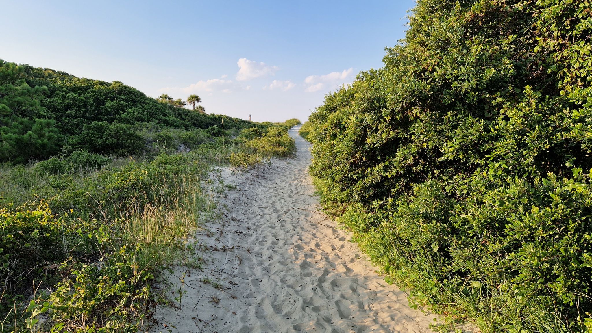 Sandy path winding through green coastal dunes under a bright sky. - Morris Island Lighthouse Trail