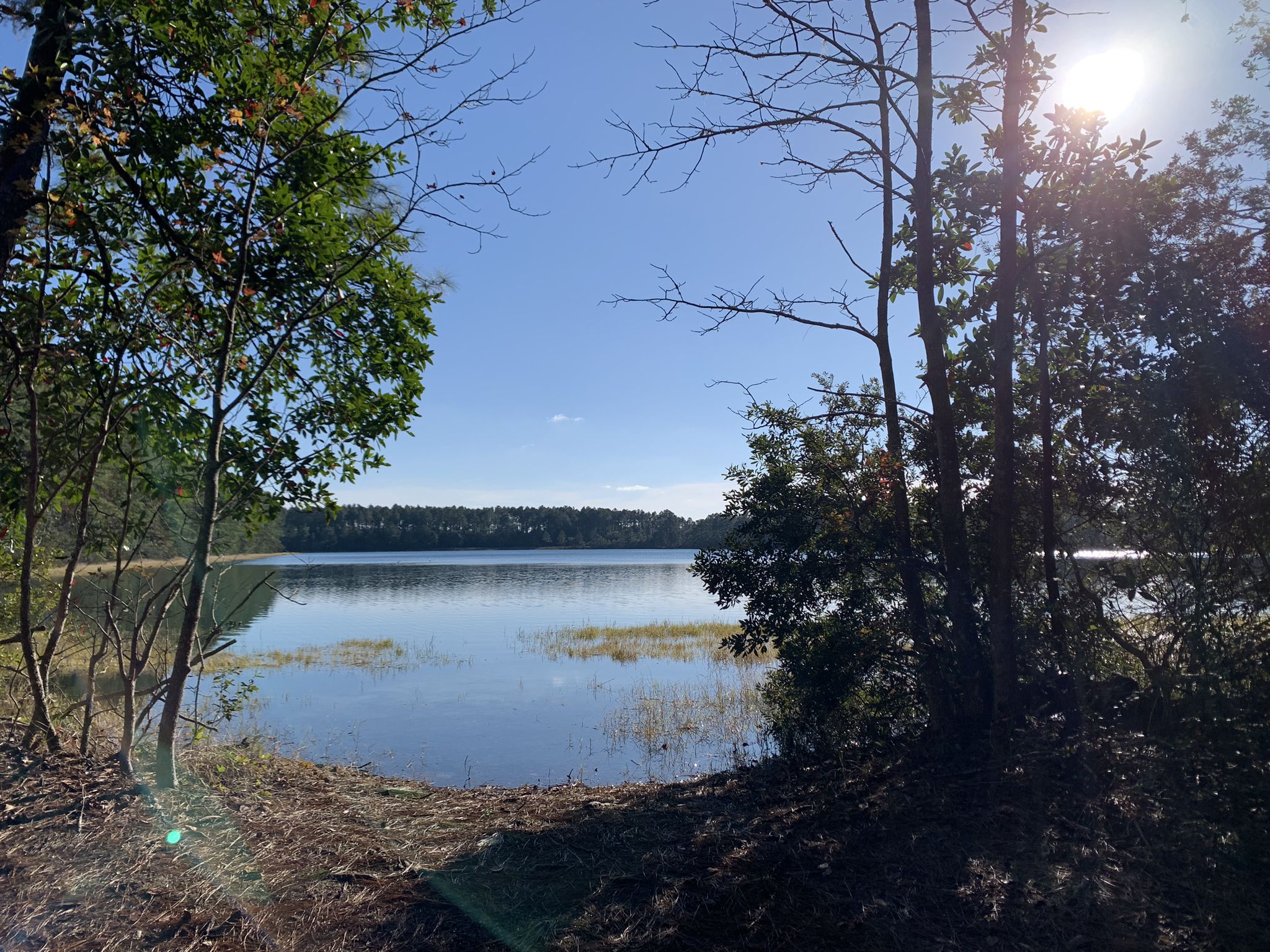 Sunlight glares over a calm lake, framed by green trees and foliage. - Lea Loop Trail