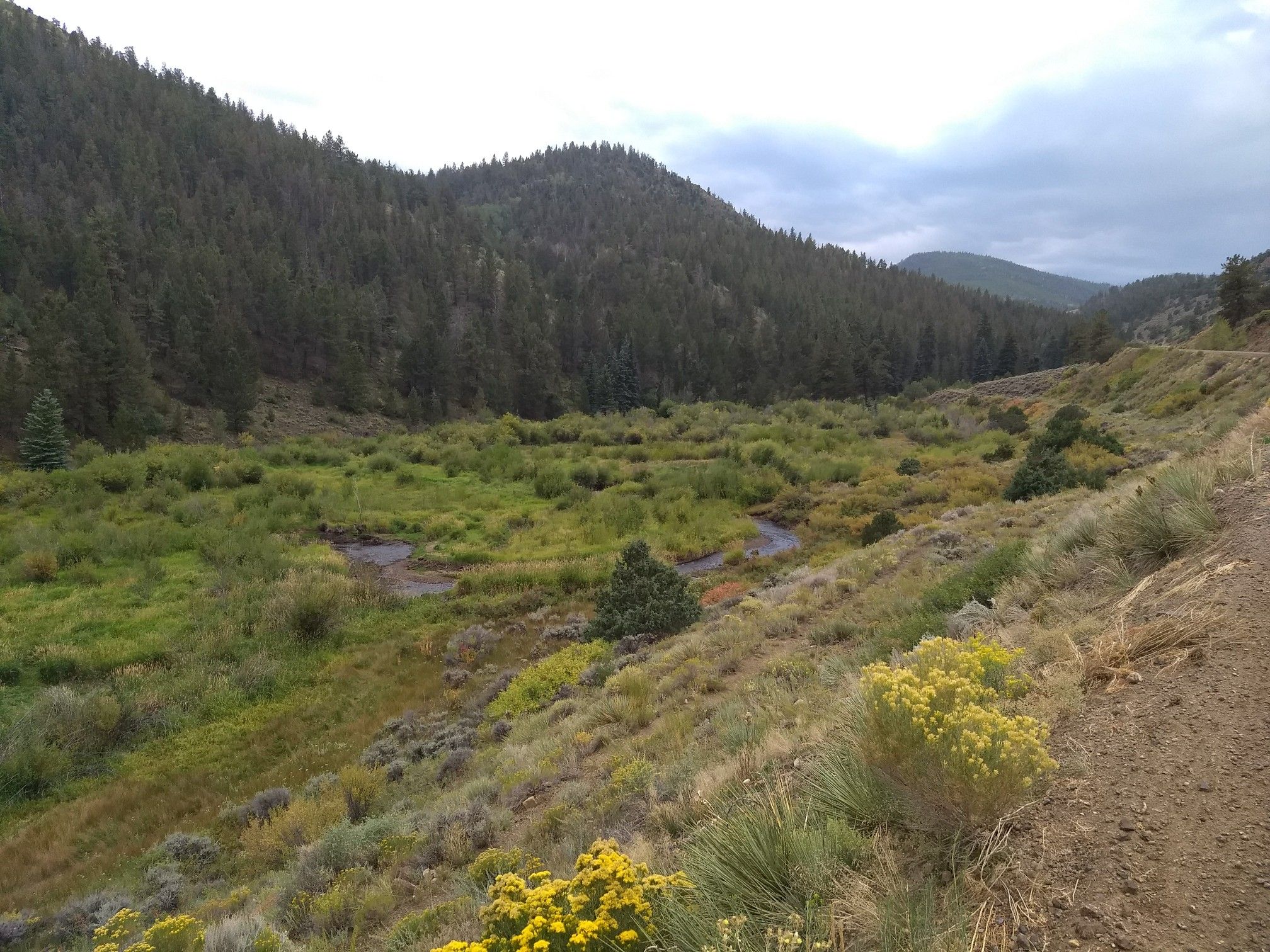 Lush green valley with a winding stream, forested hills, and cloudy sky. - Silver Creek - Rainbow Trail Loop