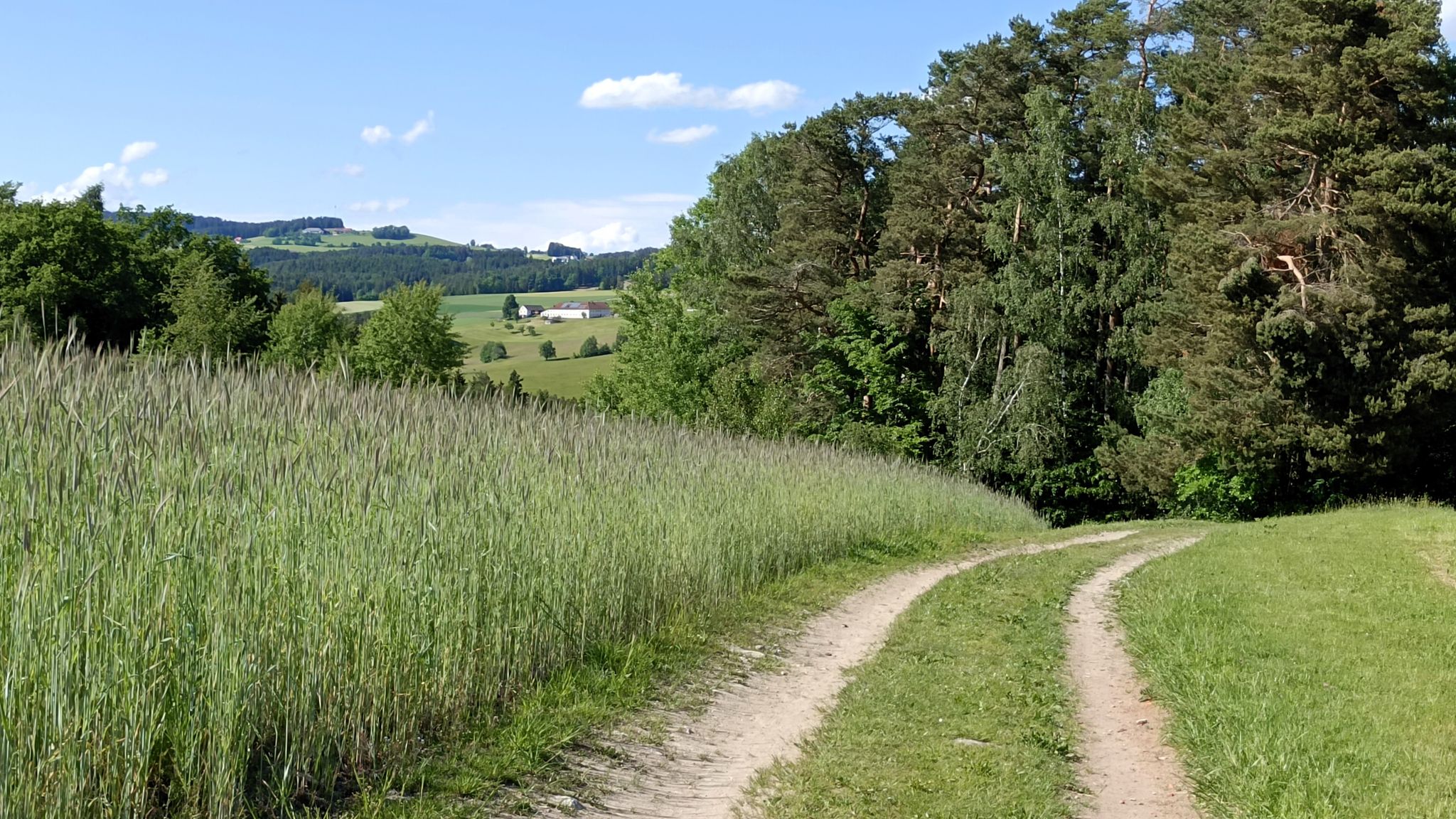 Am Weg nach STEINBACH.