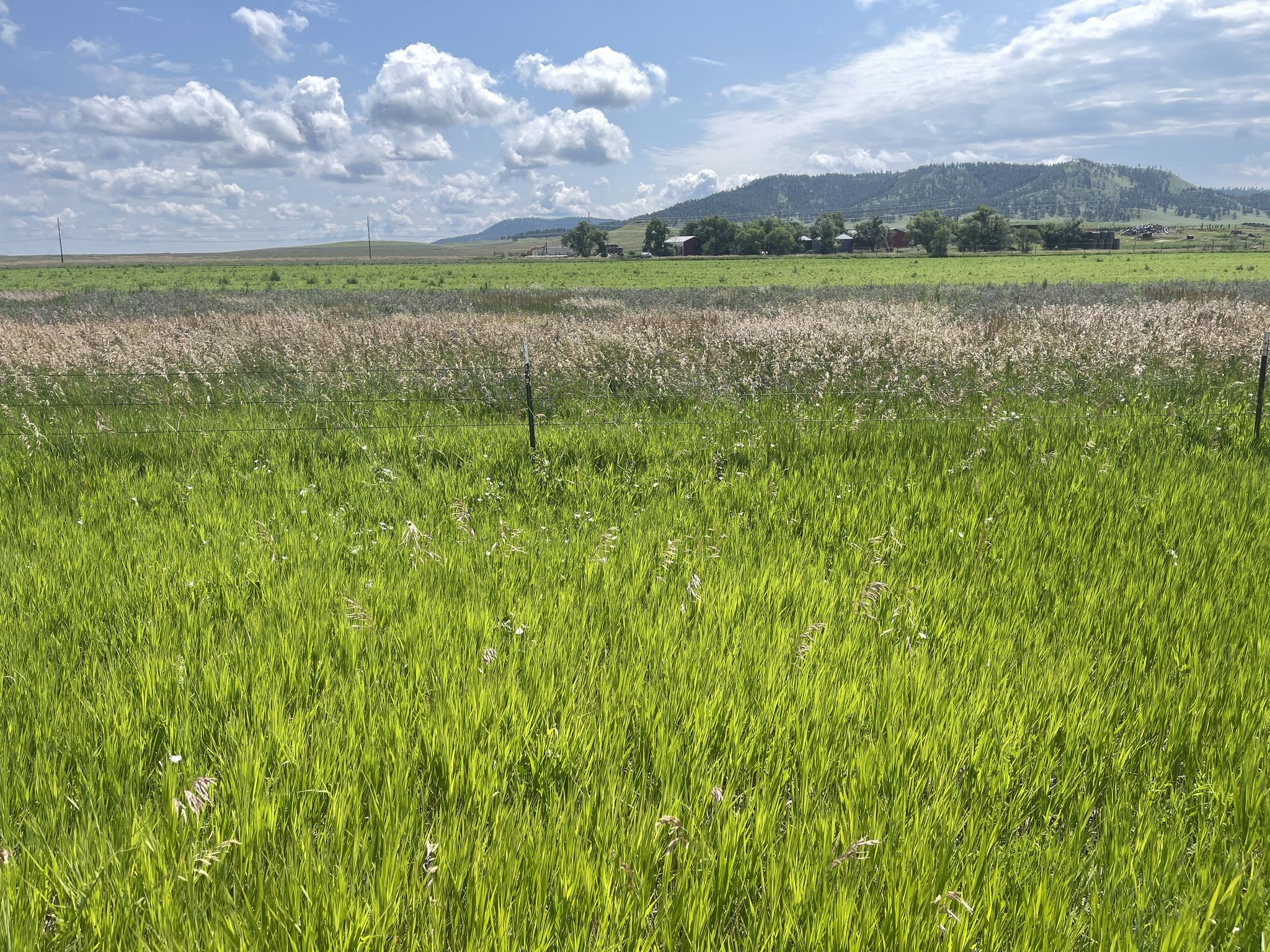 Lush green and golden fields stretch towards distant hills under a partly cloudy sky. - George S. Mickelson Trail