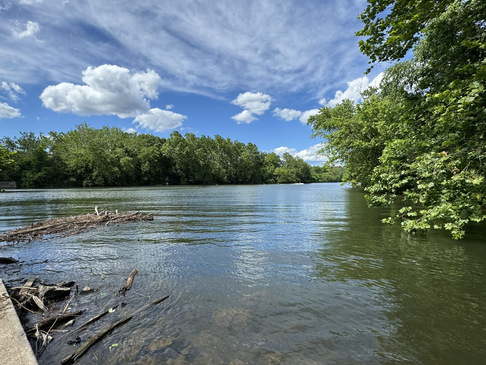 Wide river with green trees on both banks under a partly cloudy sky. - Phoenix Iron Canal Trail