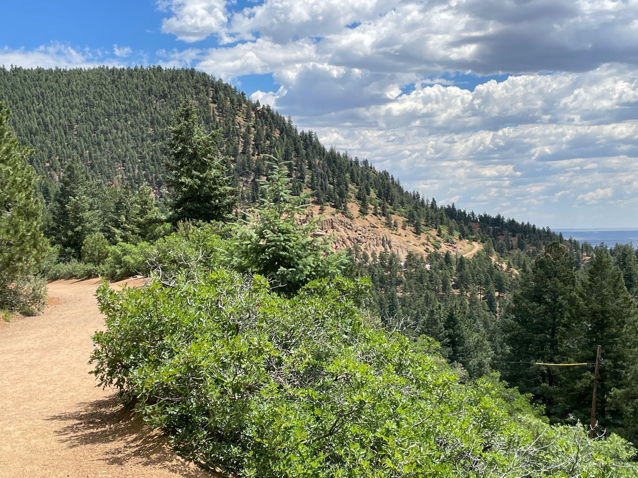 Dirt path winding up a forested hillside under a cloudy sky. - Cripple Creek from Colorado Springs on the Gold Camp Road