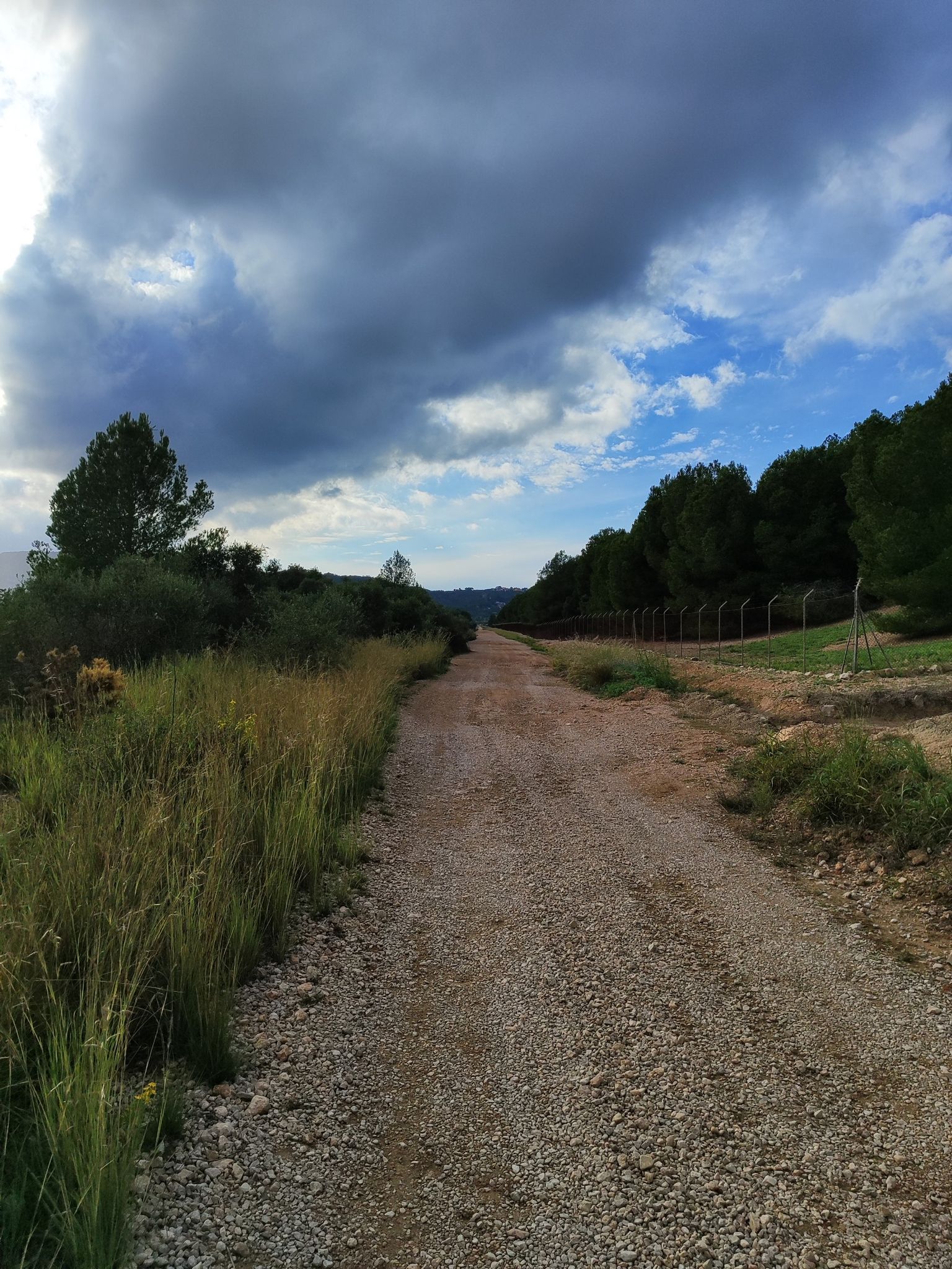 Camino de cincunvalación de Idiada