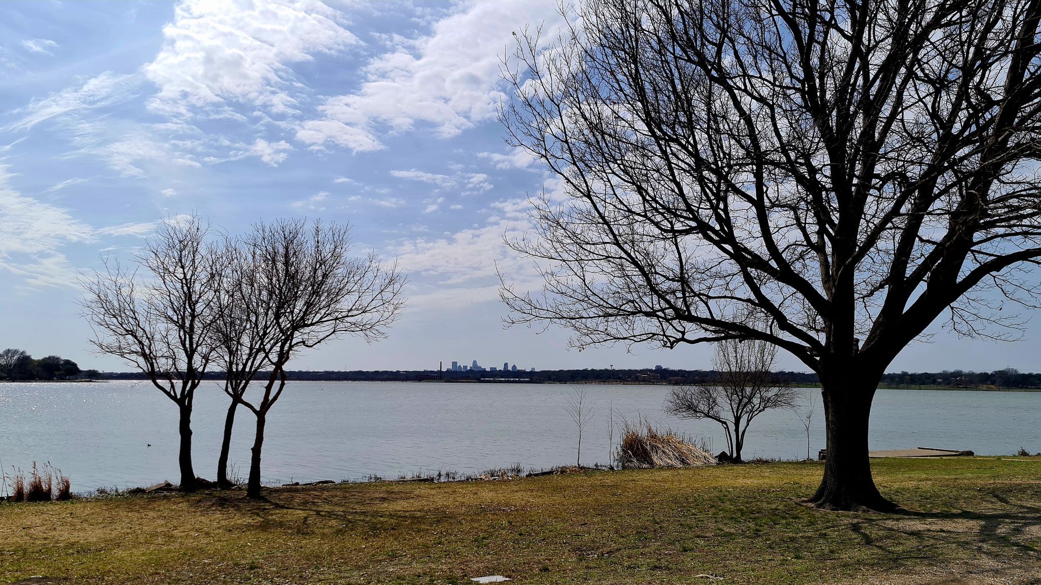 Bare trees frame a wide lake with a distant city skyline under a cloudy sky. - White Rock Lake Park Loop Trail