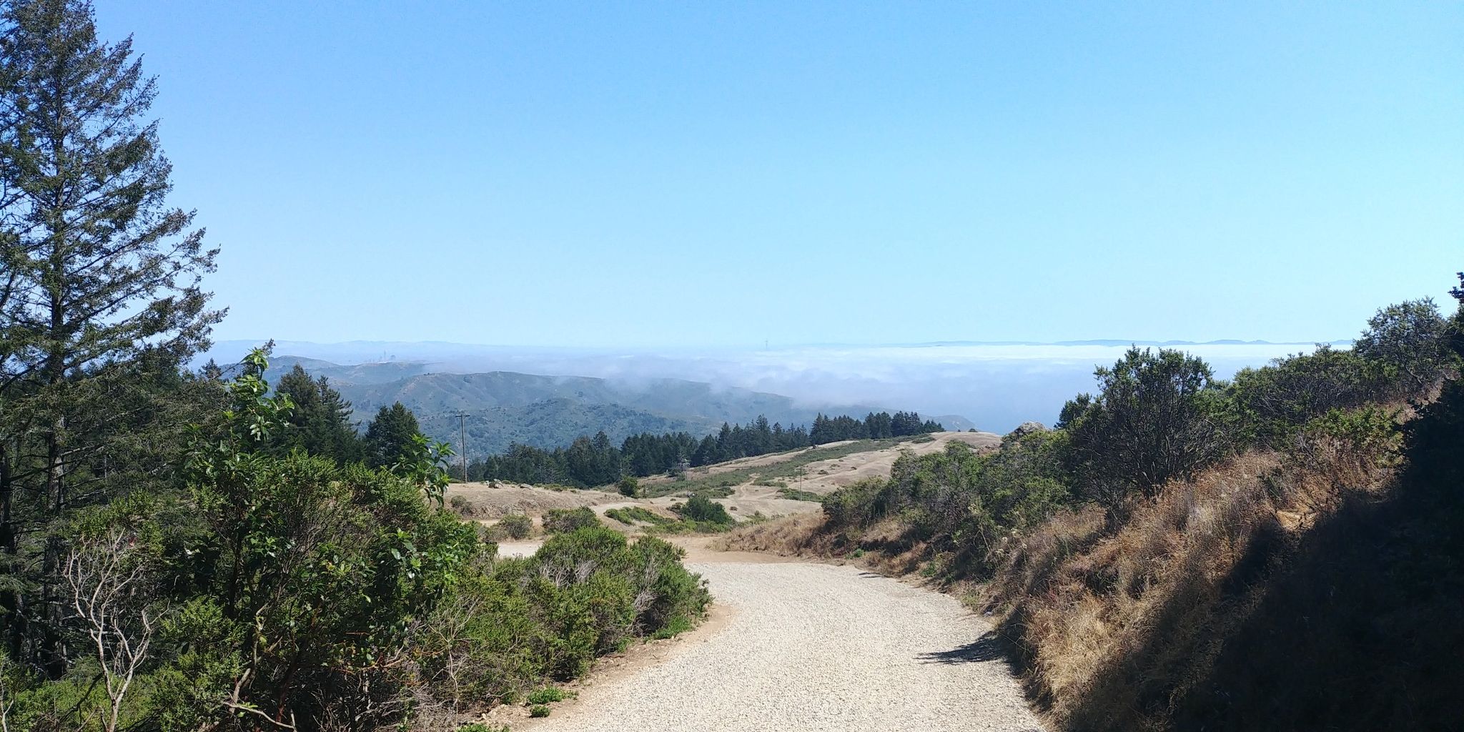 Dirt path winding through hills with distant fog and clear sky. - Steep Ravine and Dipsea Trail Loop