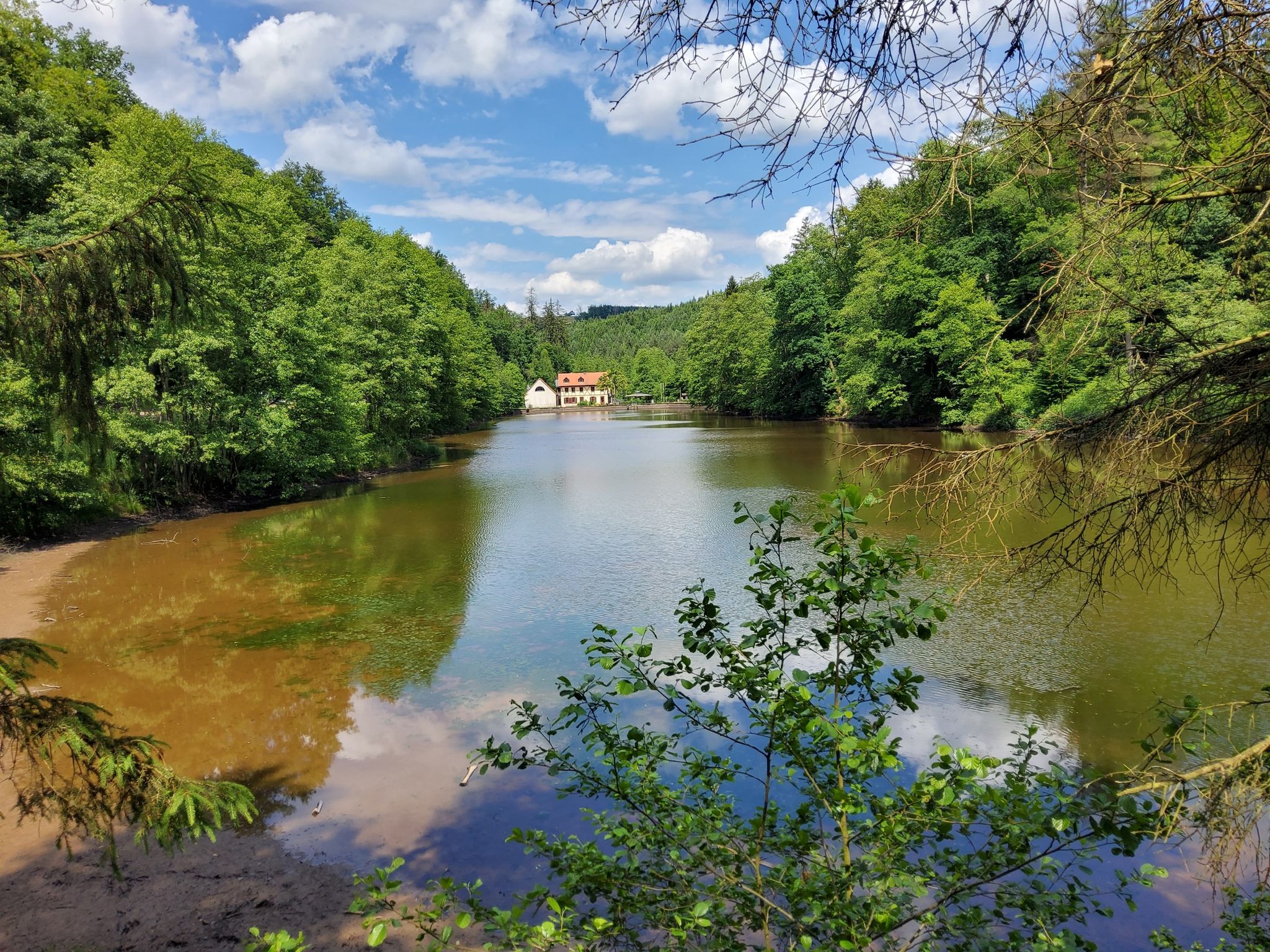 Etang du Donnenbach