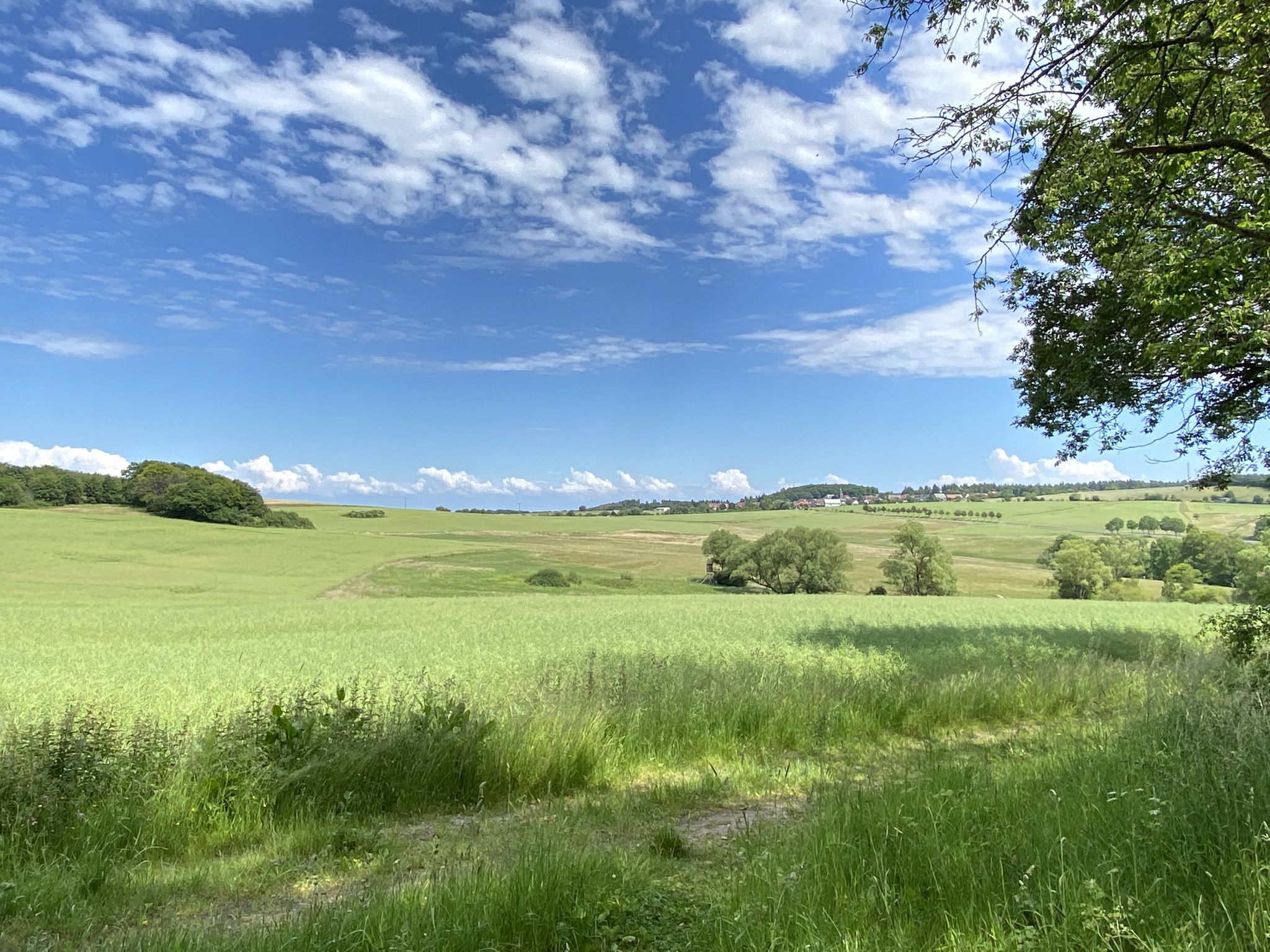 Blick nach Merzhausen