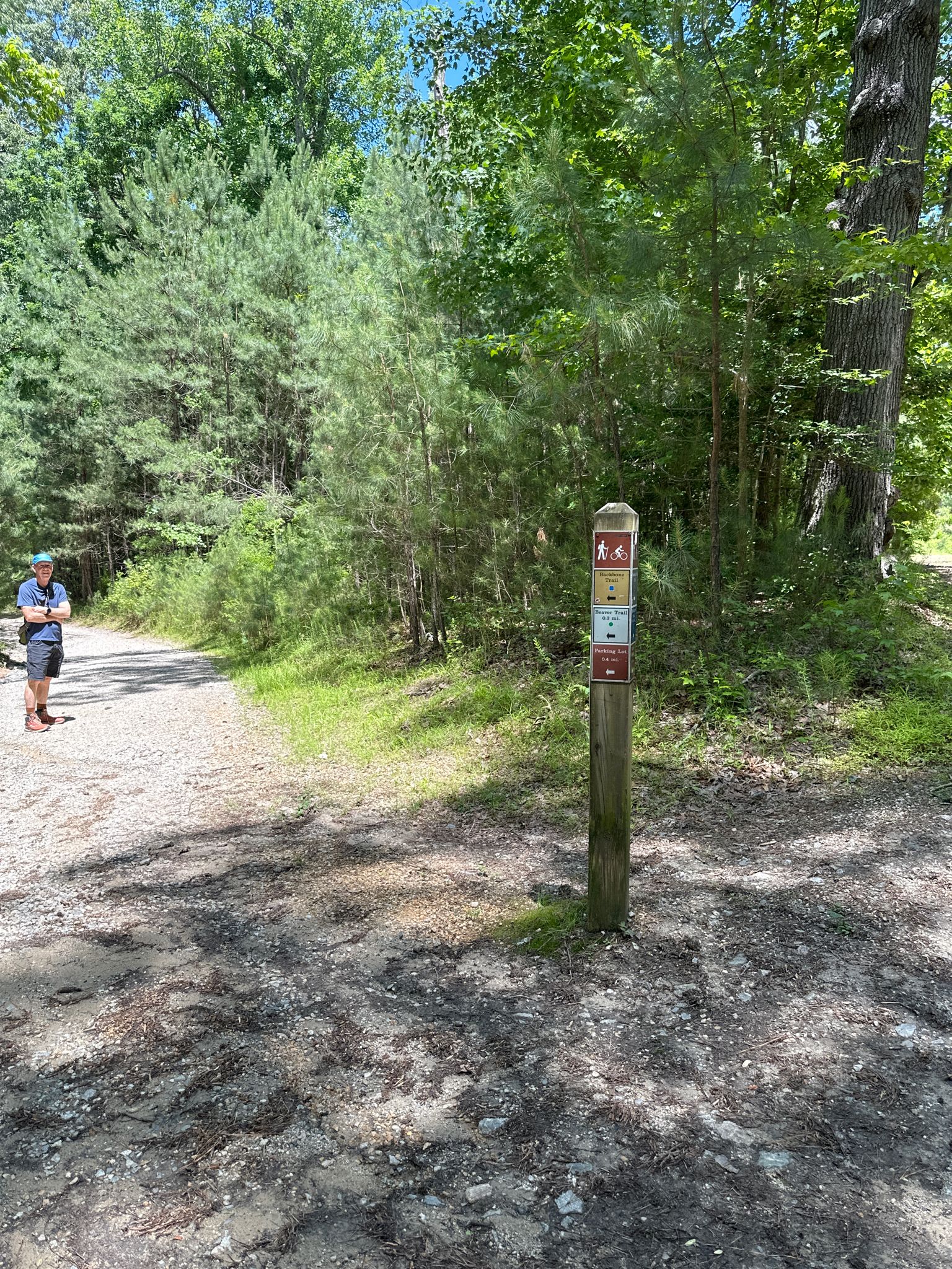 A person stands on a dirt path next to a trail marker in a sunny forest. - York River State Park loop from York River State Park