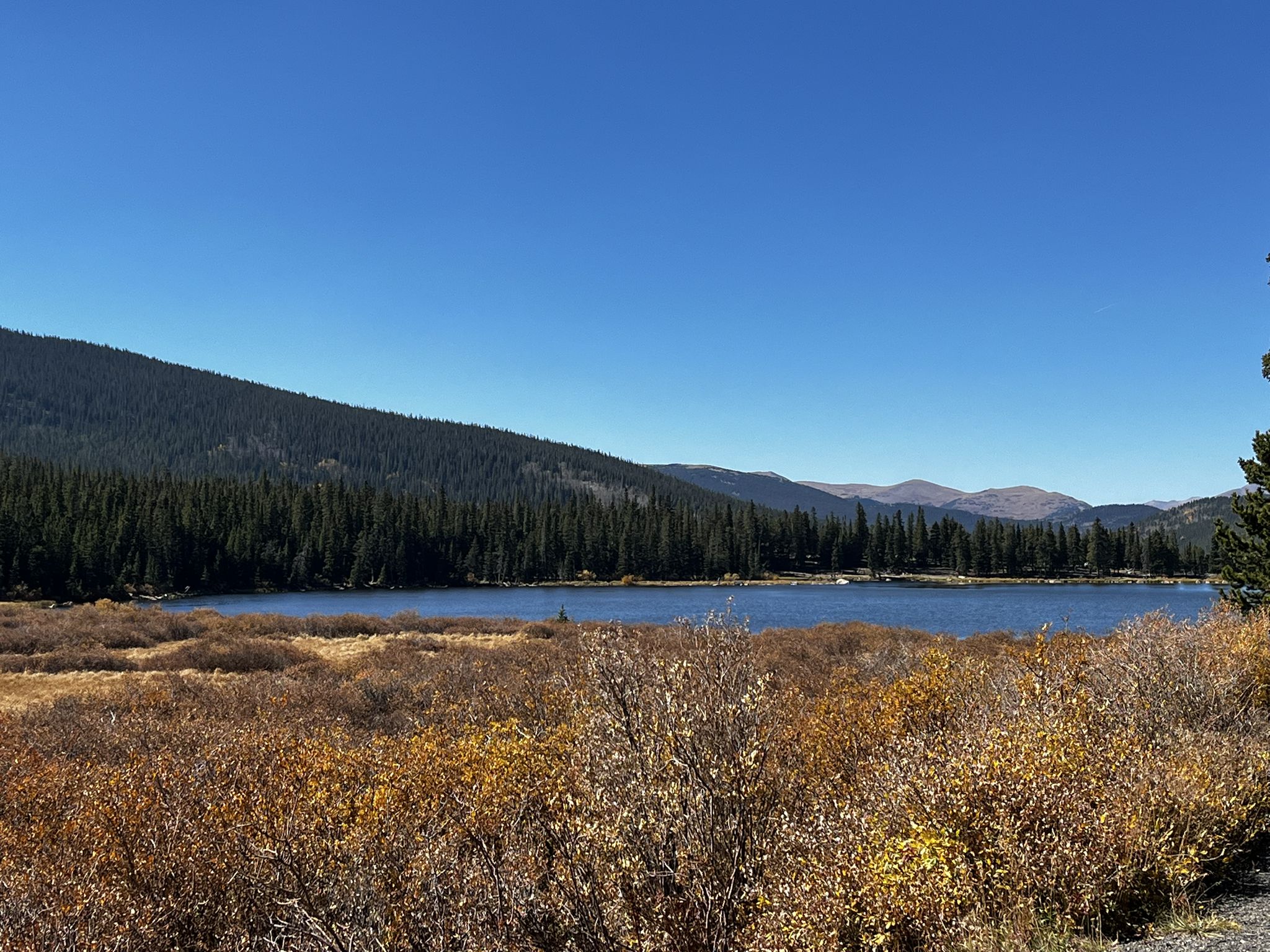 Lake with autumn foliage, dark forest, and distant mountains under clear sky. - Idaho Springs to Mount Blue Sky (Evans) Summit